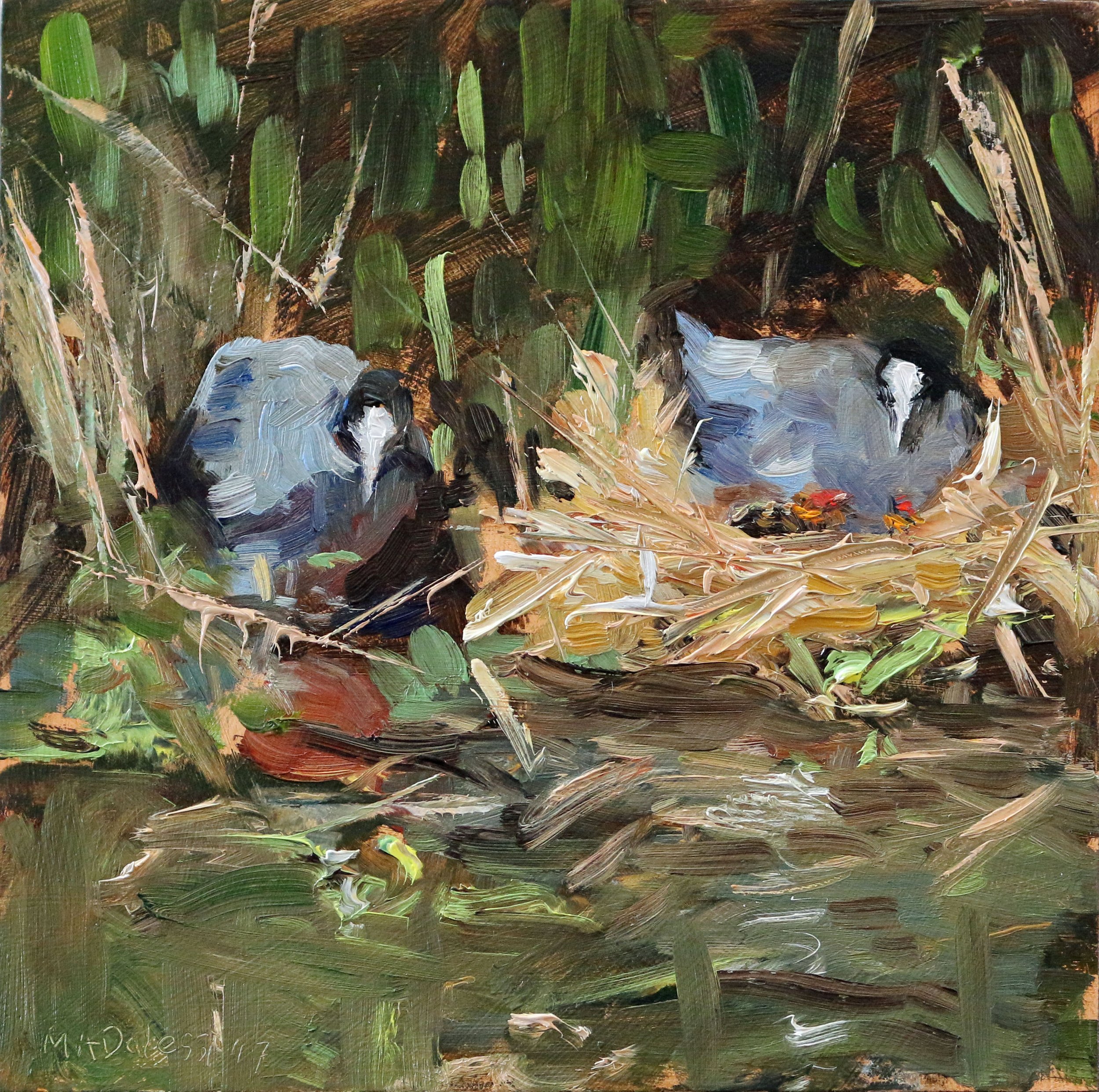 "Baby coots", 15x15 cm, oil on panel
