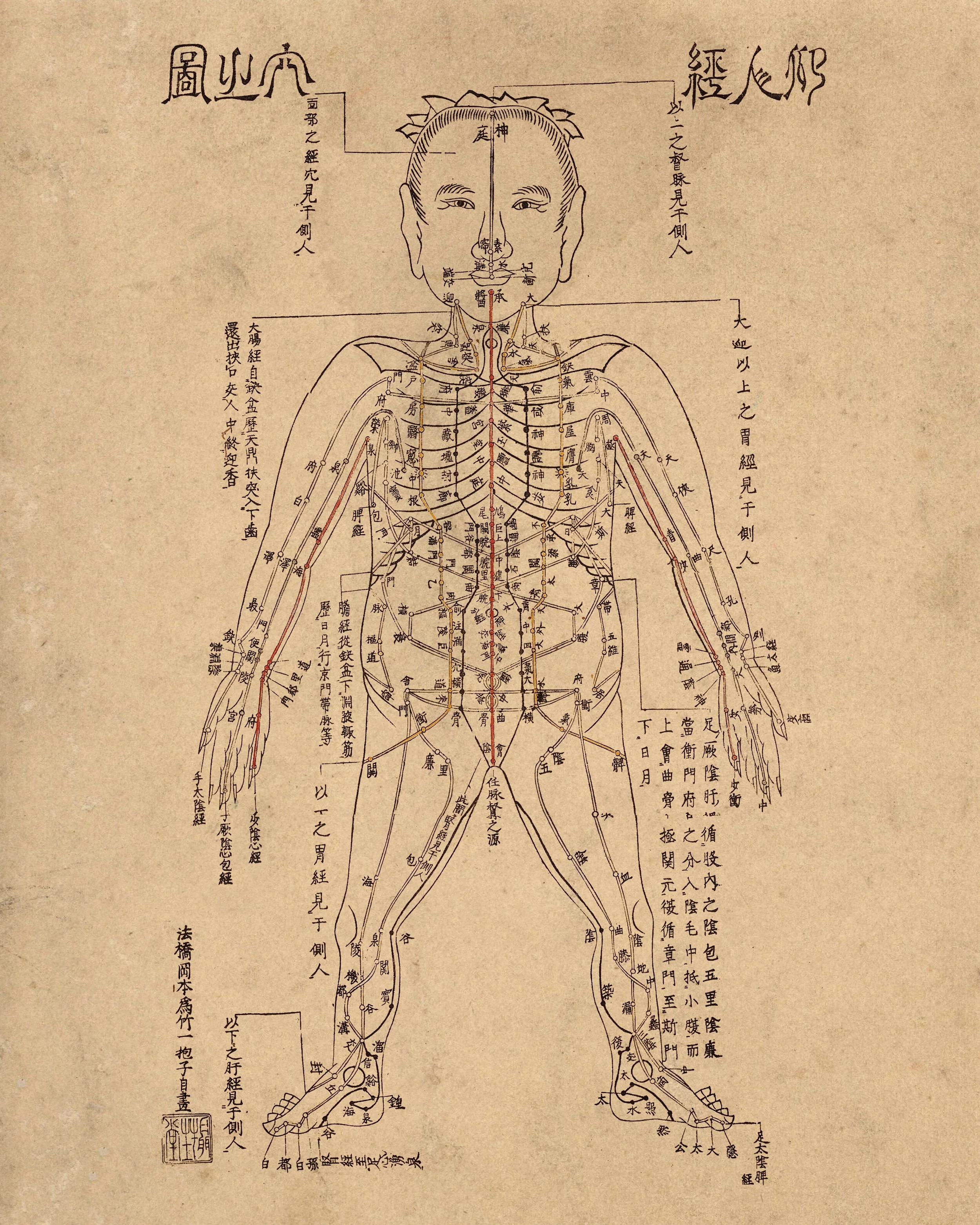 A traditional Chinese medicine chart of the human body, showing acupuncture points and meridians. The diagram is detailed with Chinese characters labeling various points across the face, torso, arms, and legs.