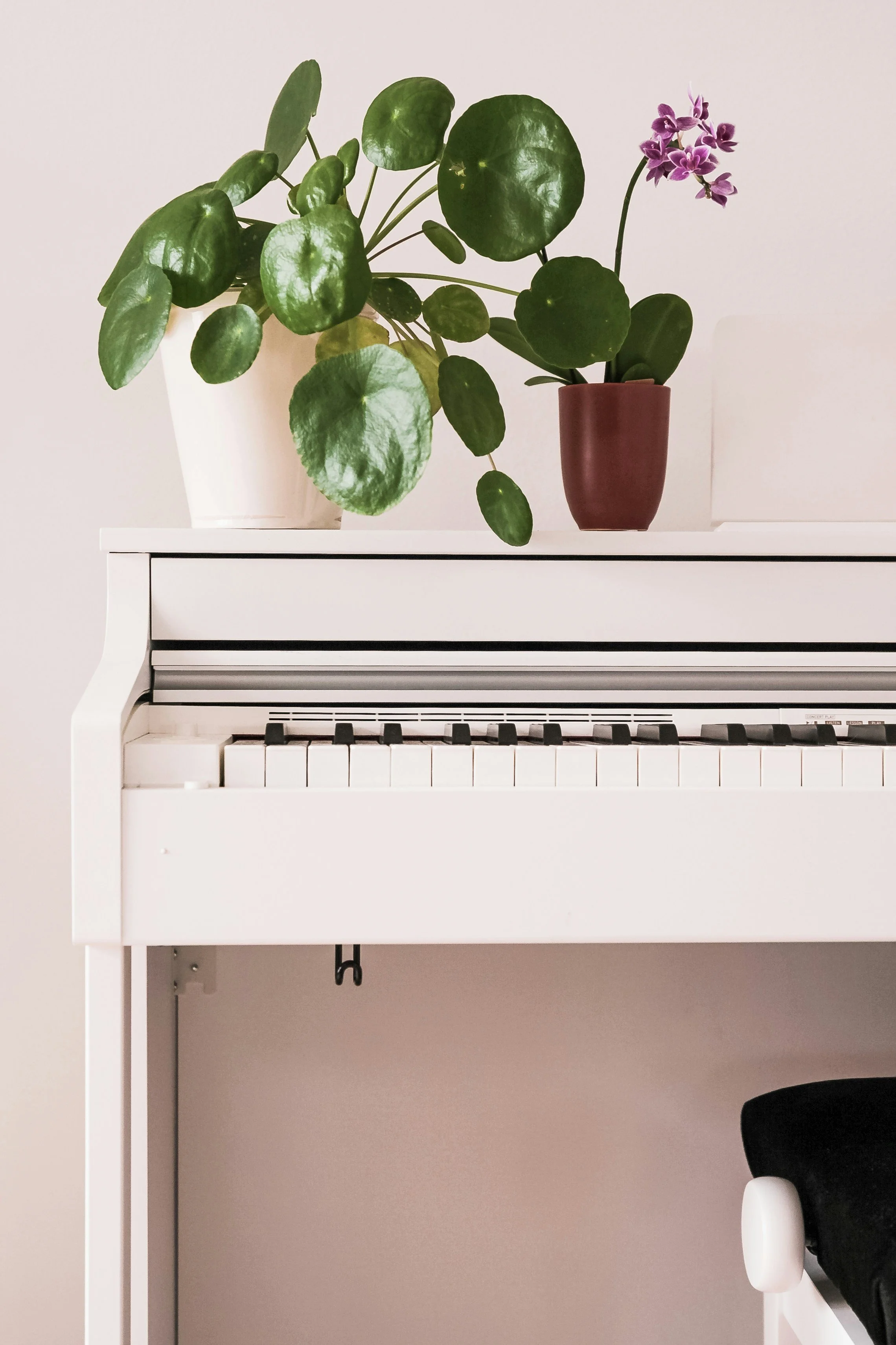 Music therapy sessions helping children build confidence, communication, emotional regulation, and social skills in Ohio.