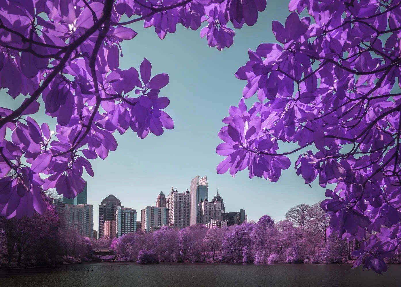 infrared photography