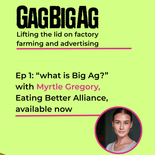 What is Big Ag?