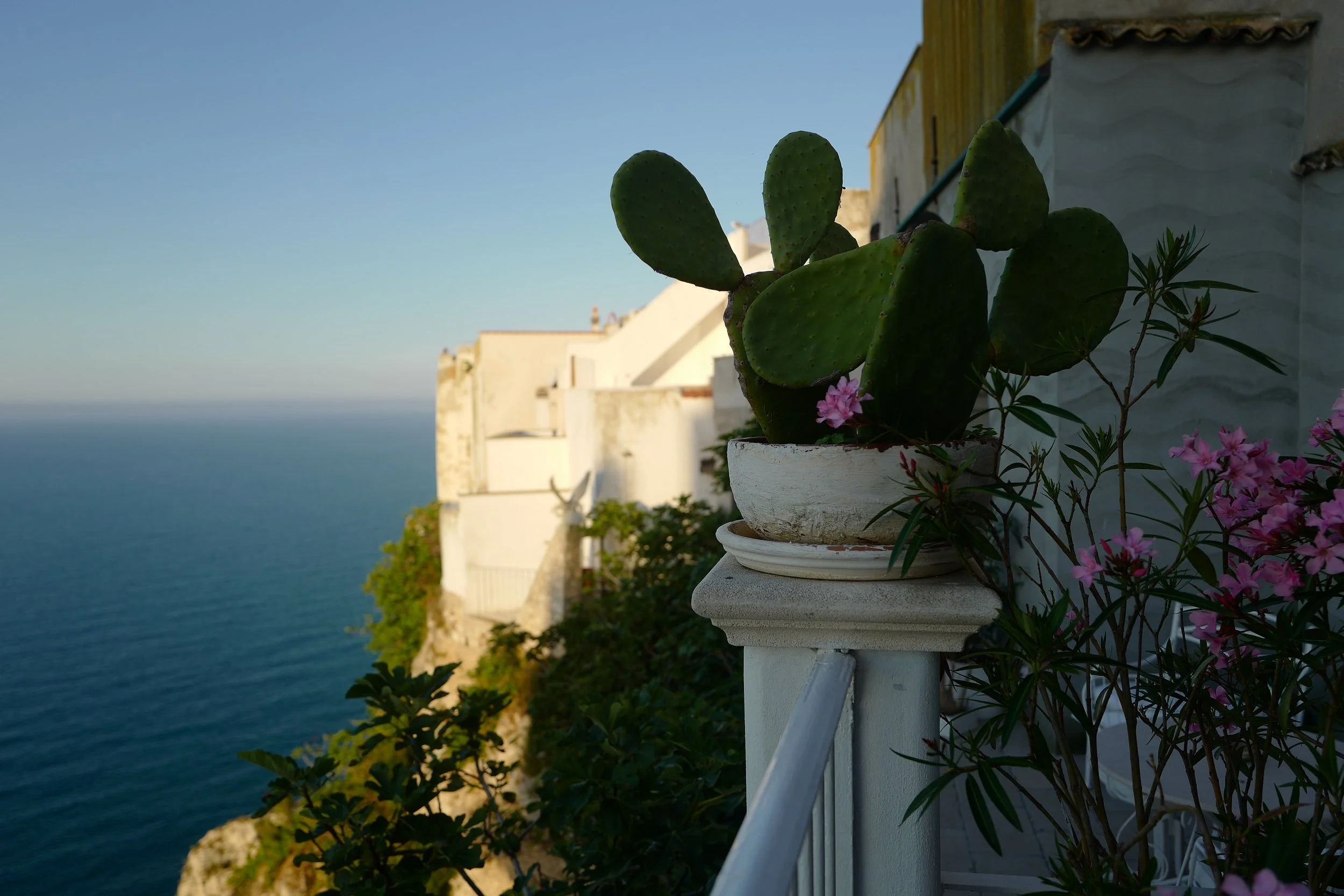 Puglia, 2026