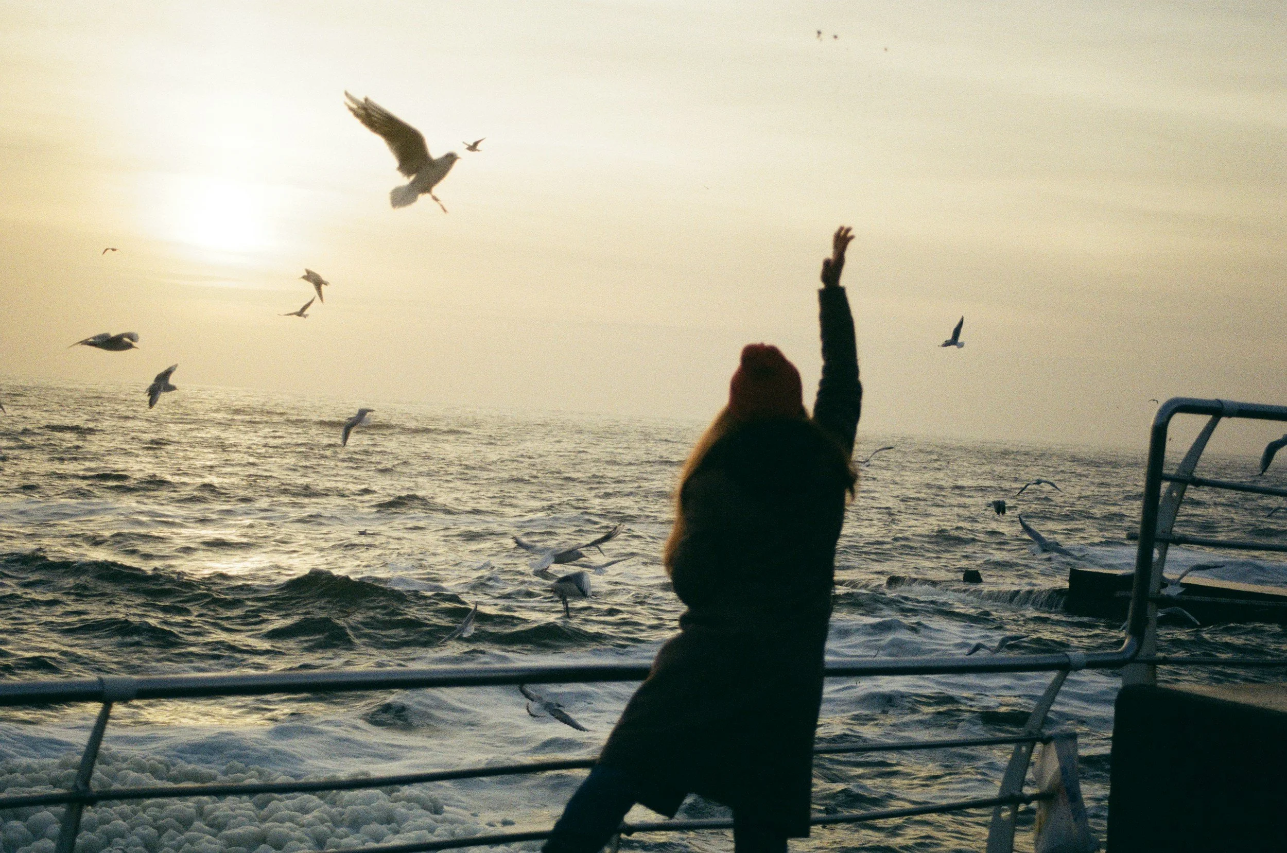 Persoon op een boot die vogels voert op zee bij zonsondergang.