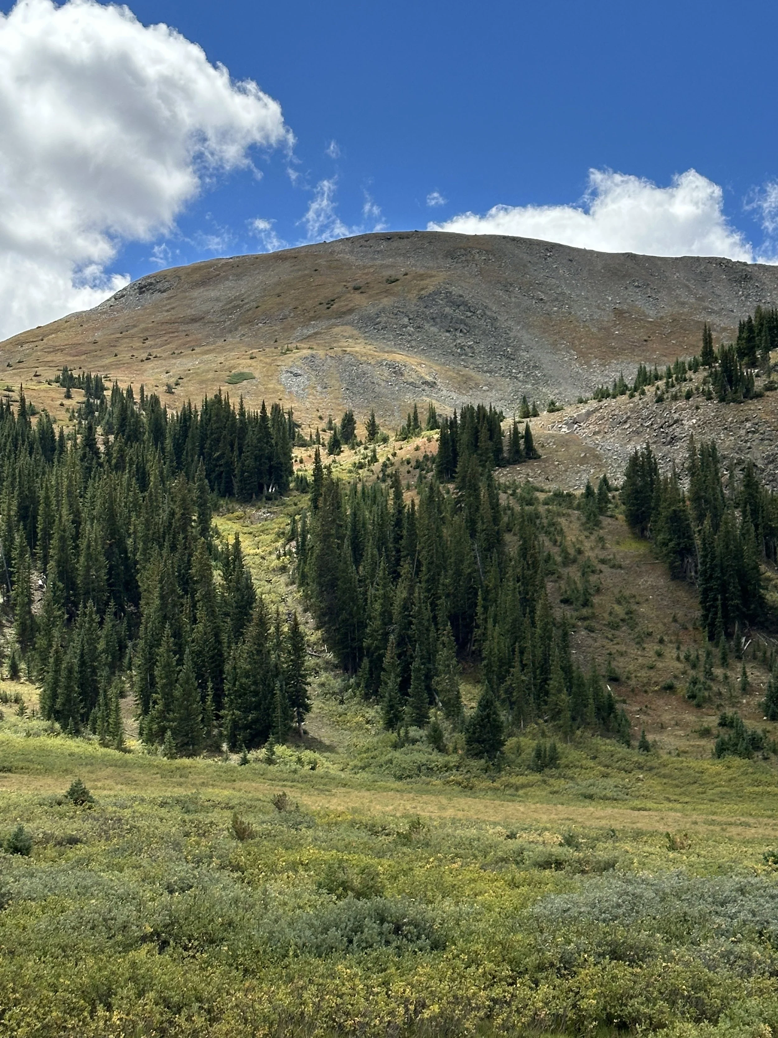 A mountainous landscape with a large, rocky mountain in the background and a forested area with dense evergreen trees in the foreground under a partly cloudy blue sky.