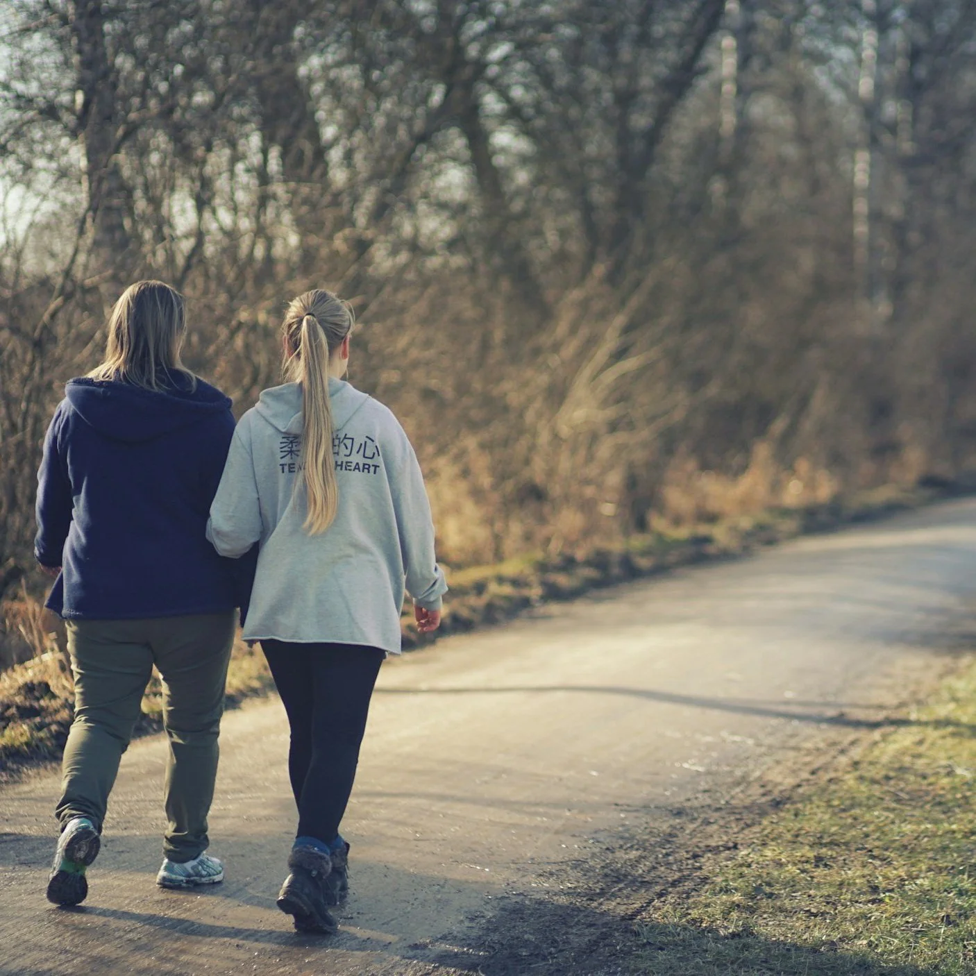 Let's Go for a Walk