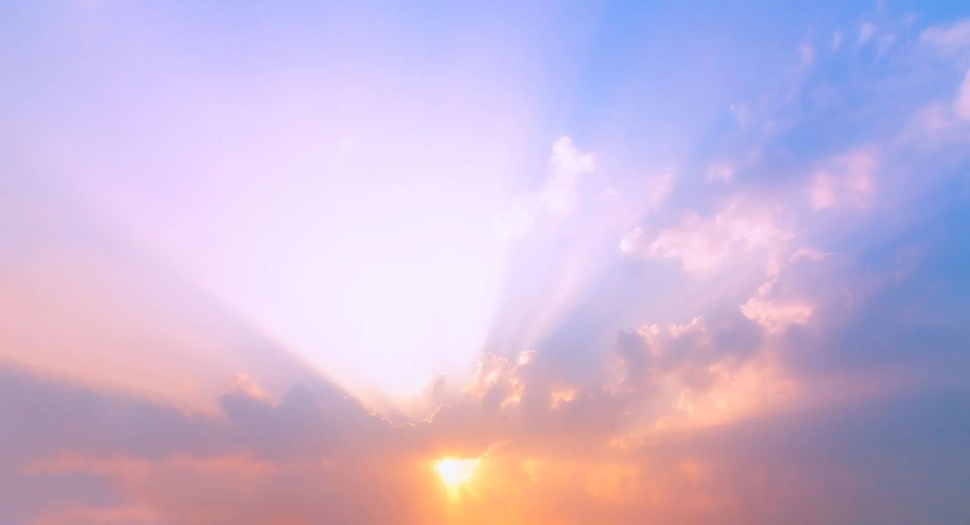 Advent in the Sun: Making Our Home in Jesus