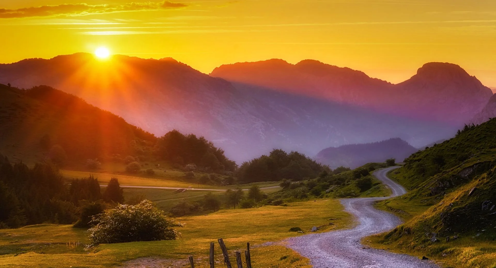 Guided on the Journey: Trusting the Lord's Path