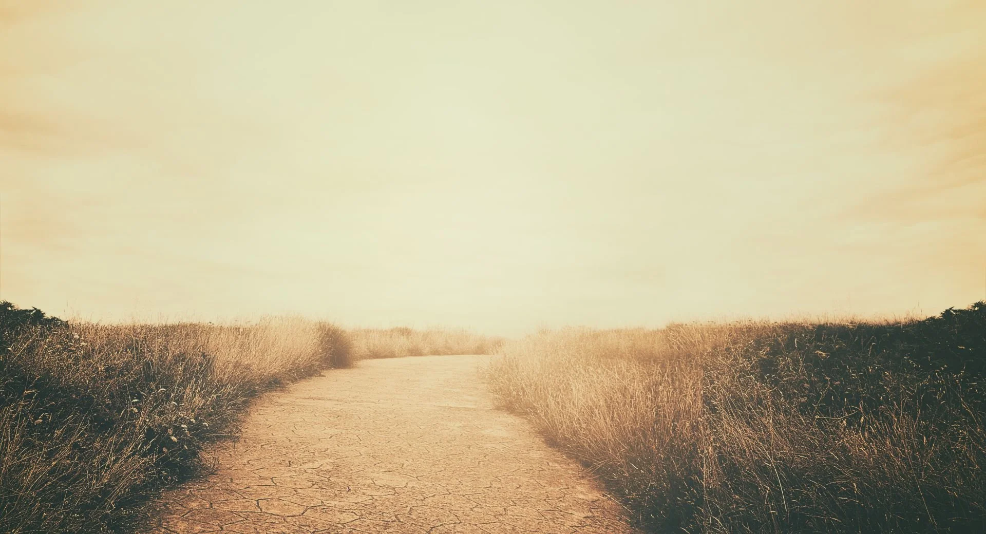 Stepping into What Is Next