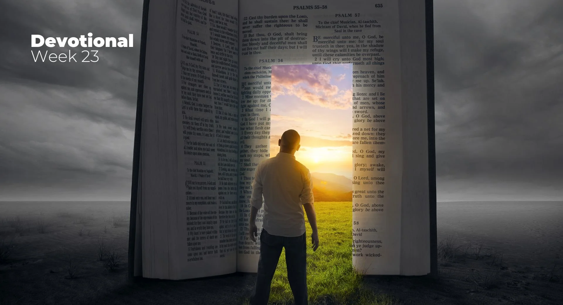 What Drives Your Life? Insights for Bible-Centred Life