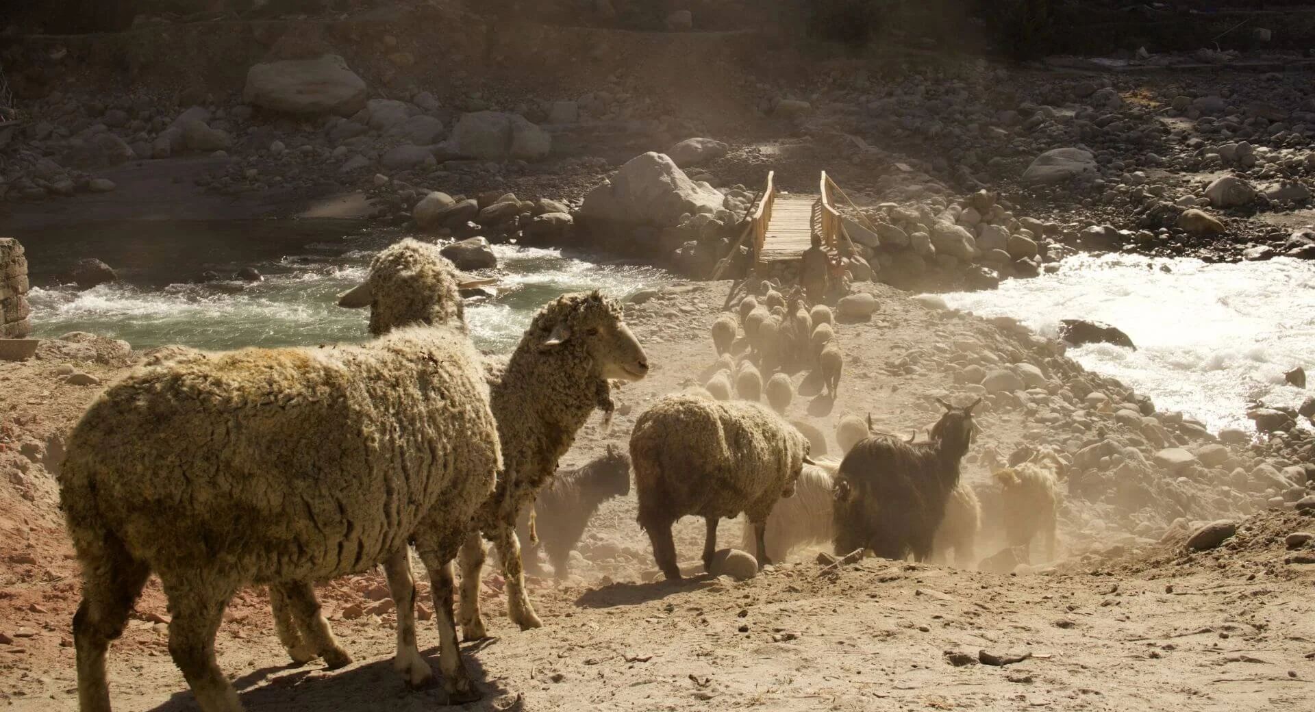 Work as Mission: Lessons from Moses and Exodus 18