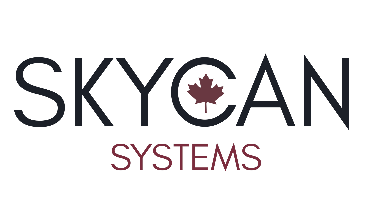 SKYCAN SYSTEMS