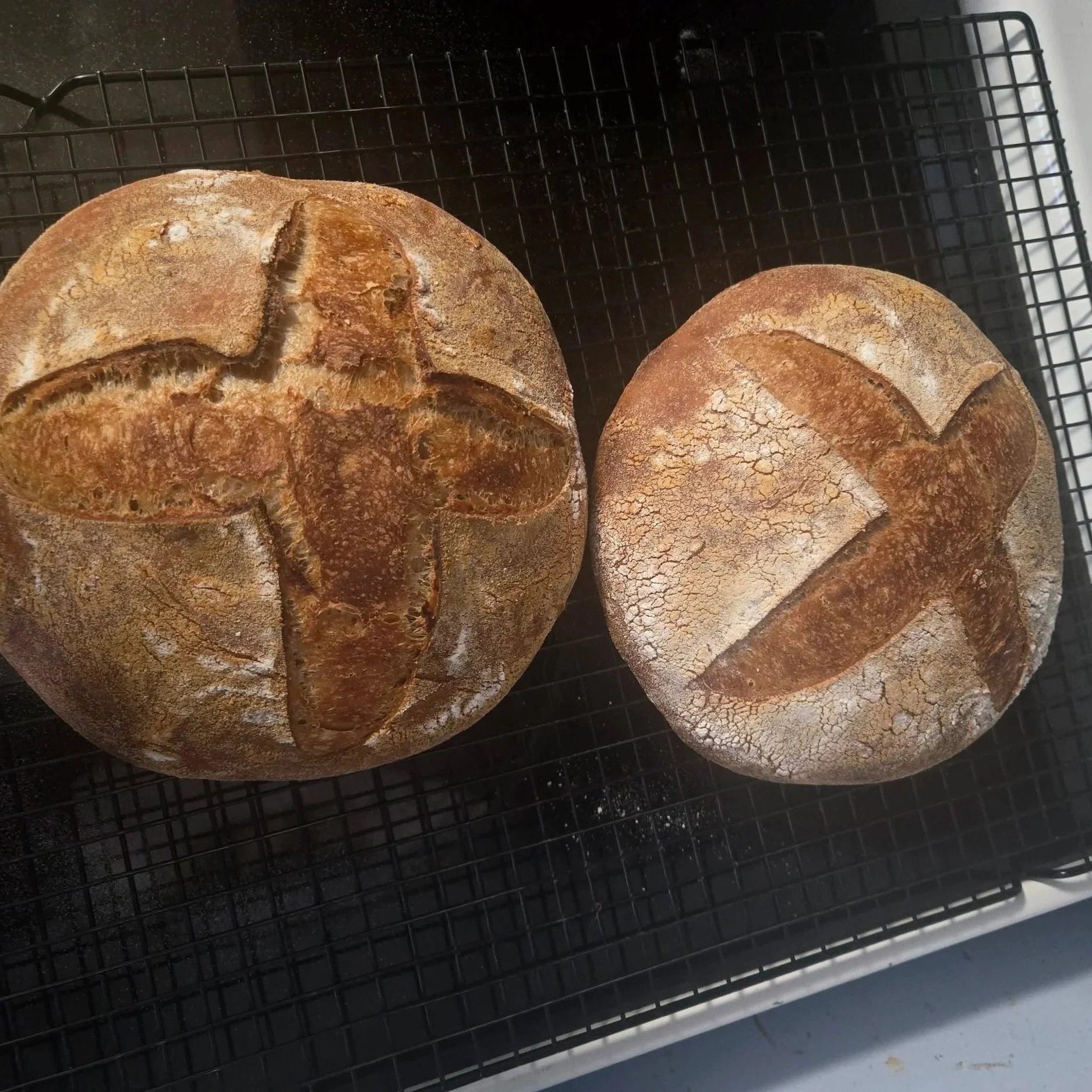 Two freshly baked round loaves of rustic bread with a crusty, cracked surface resting on a black wire cooling rack.