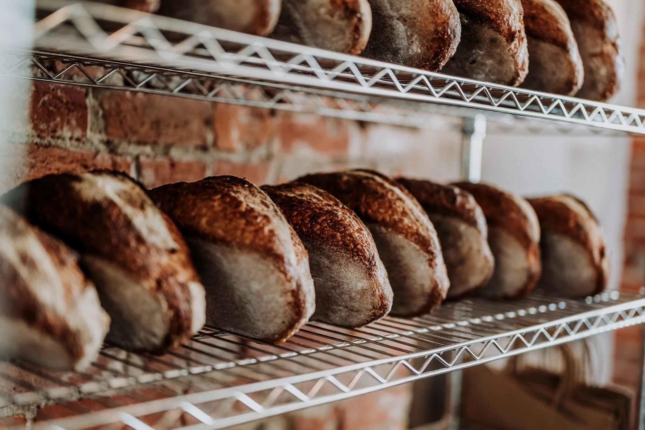 Rows of freshly baked bread loaves on metal shelves against a brick wall.