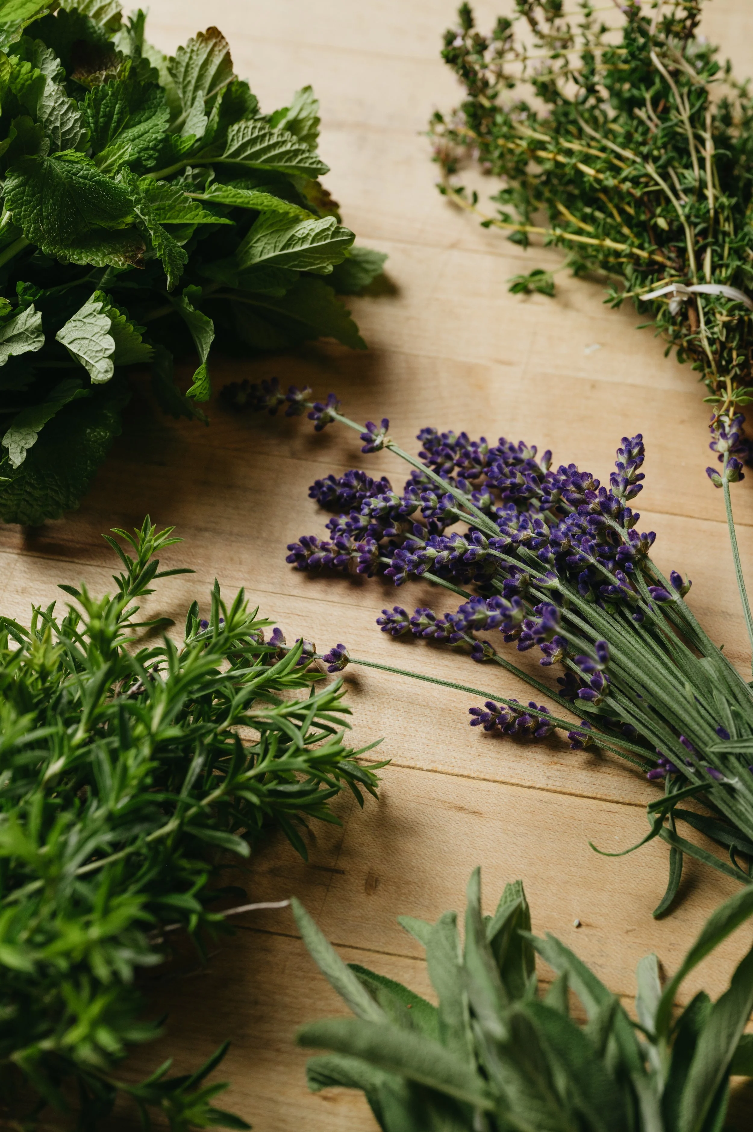 Assorted fresh herbs on a wooden surface, including basil, rosemary, thyme, lavender, and sage.