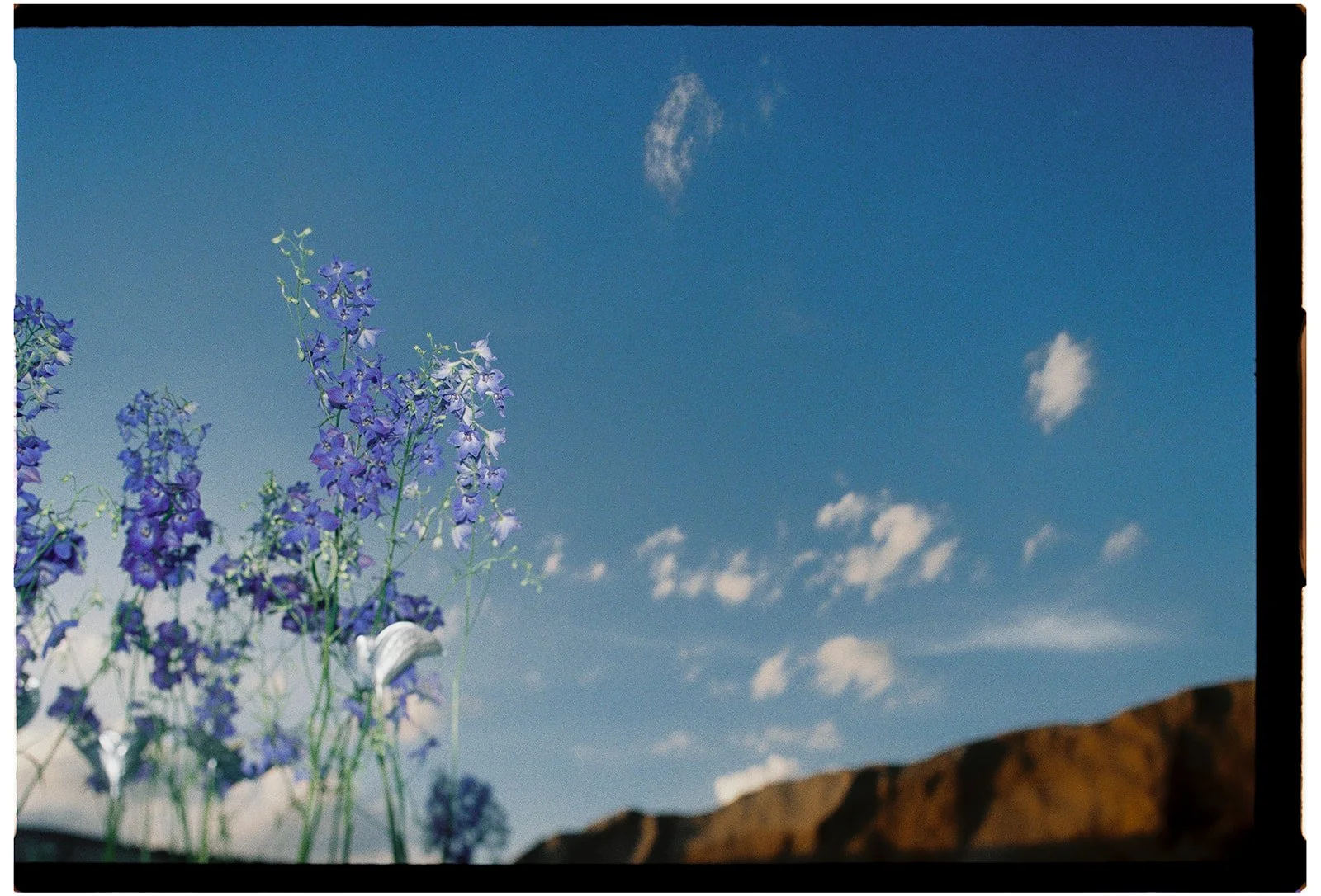 VV_Mars_analog_006.jpg