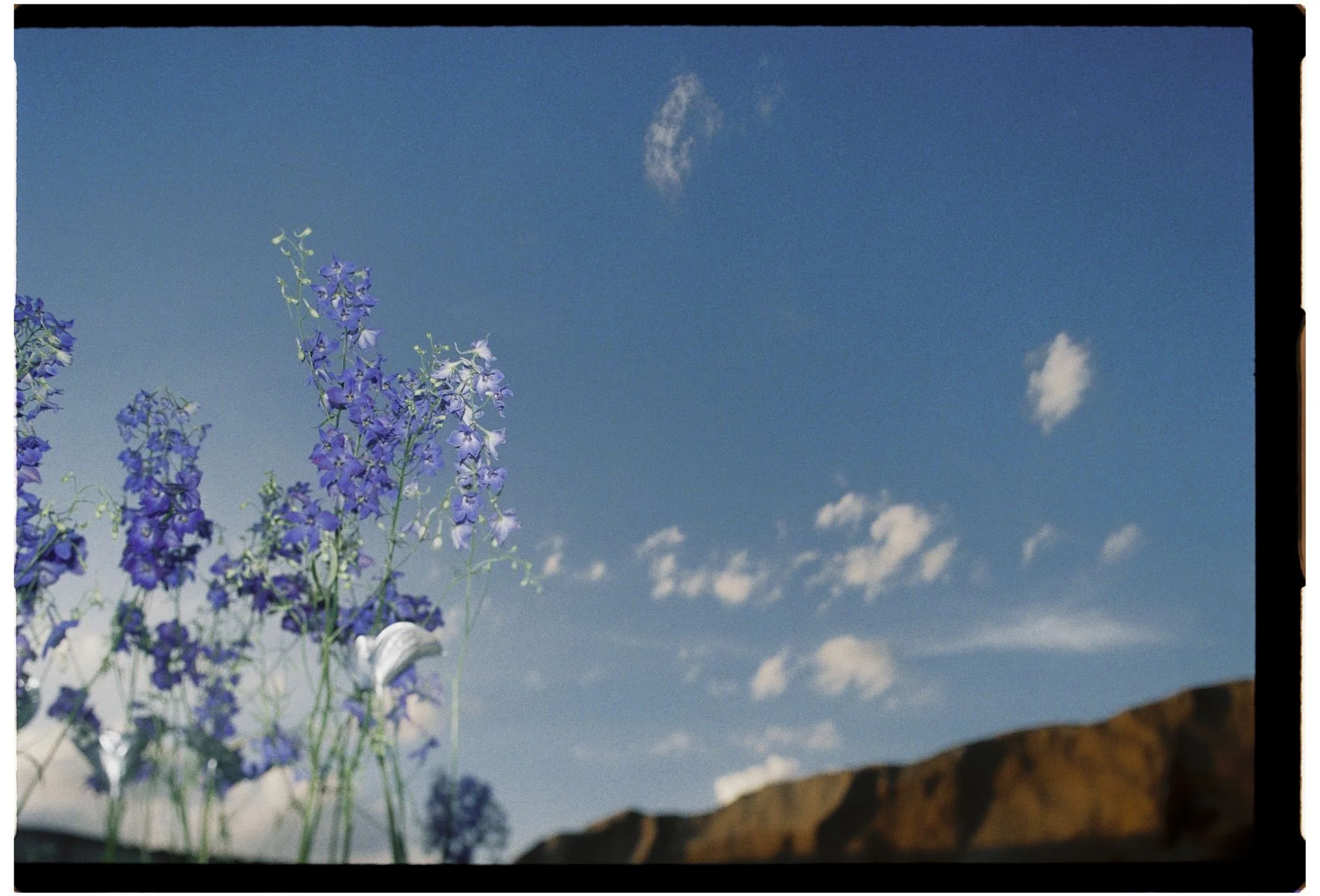 VV_Mars_analog_006.jpg