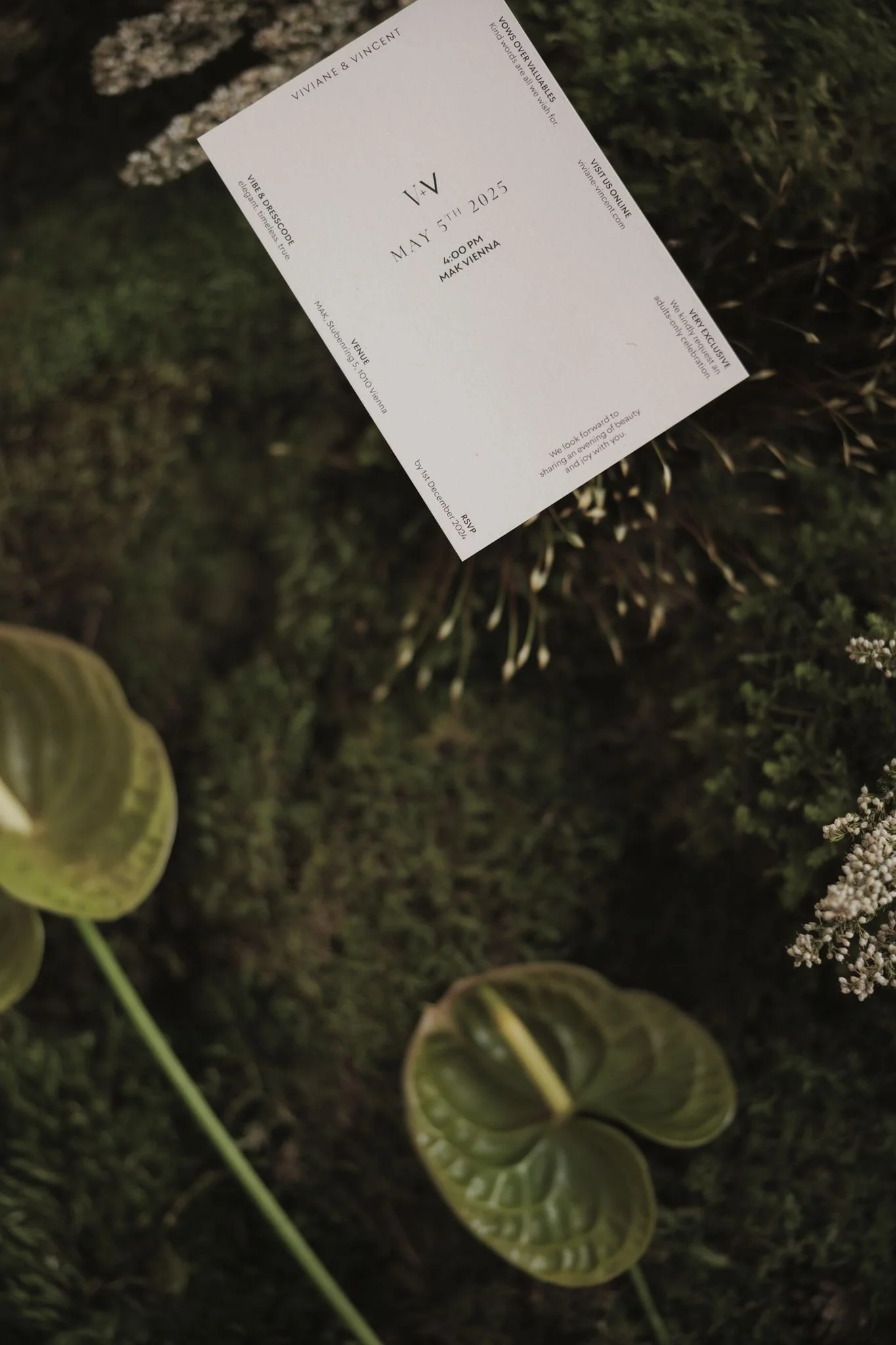 Vow&Vision_01_321.jpg