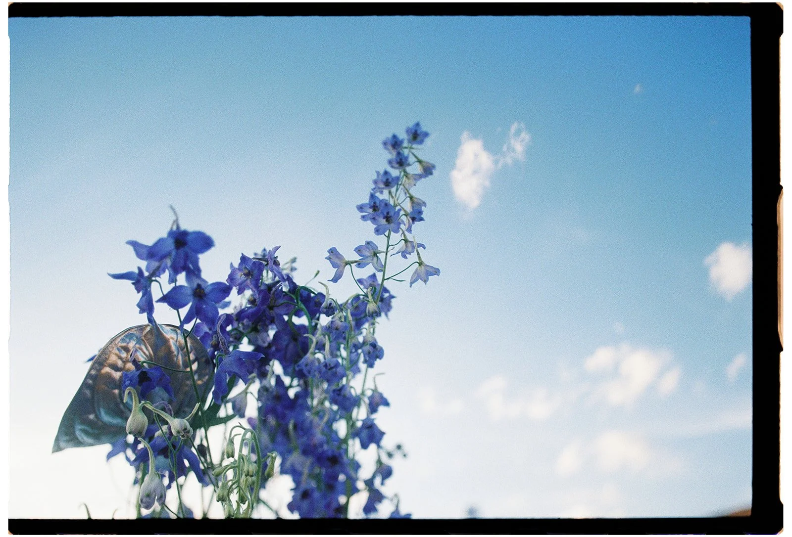 VV_Mars_analog_002.jpg