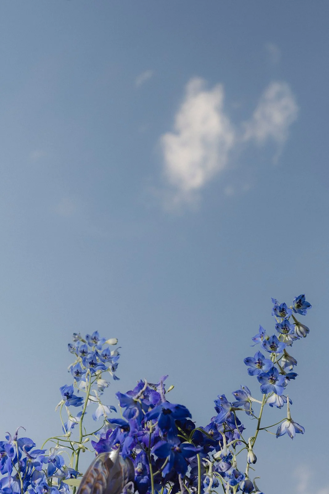 Vow&Vision_bluemars-090.jpg