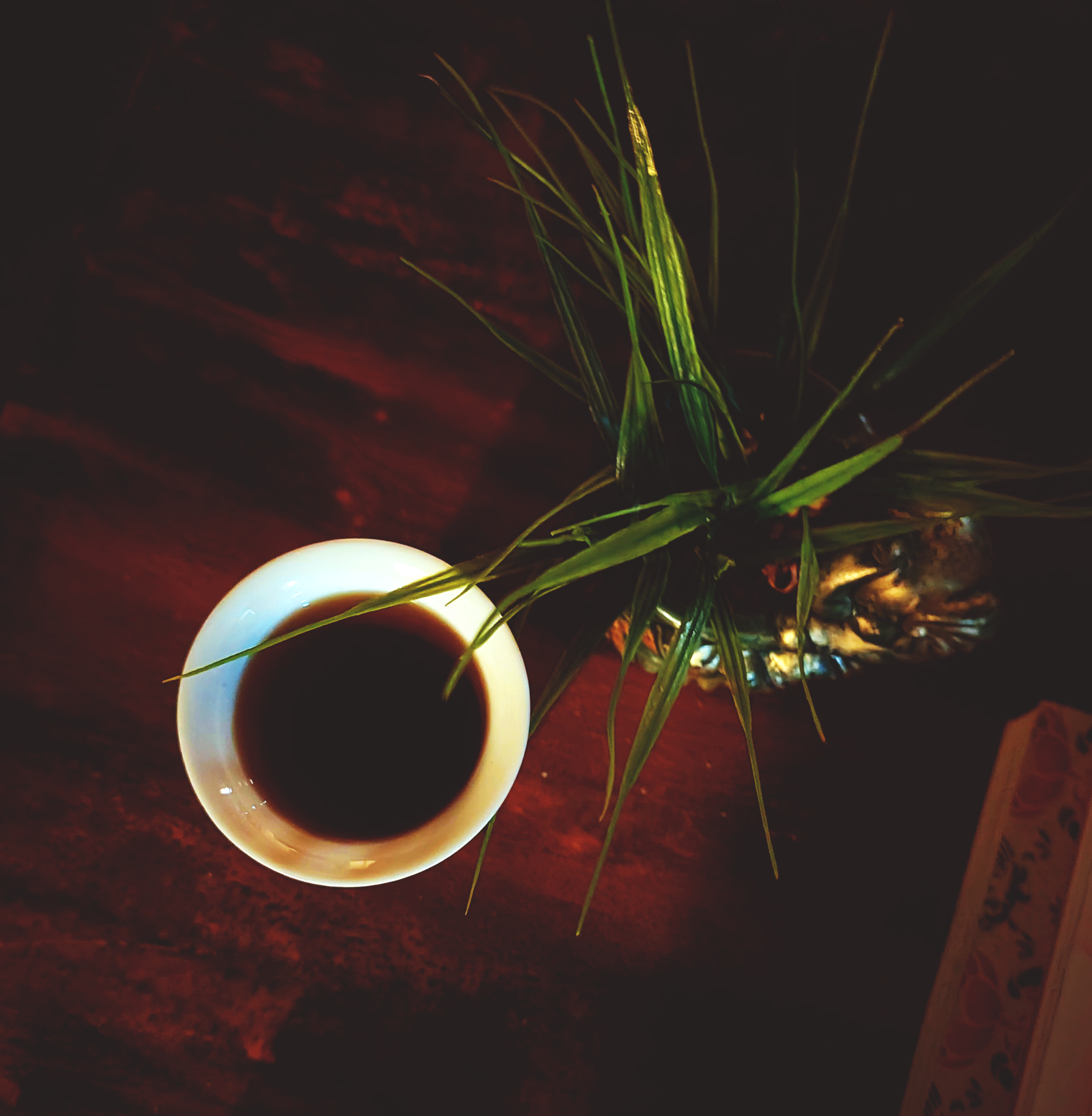 align-green-tea-kulture.png