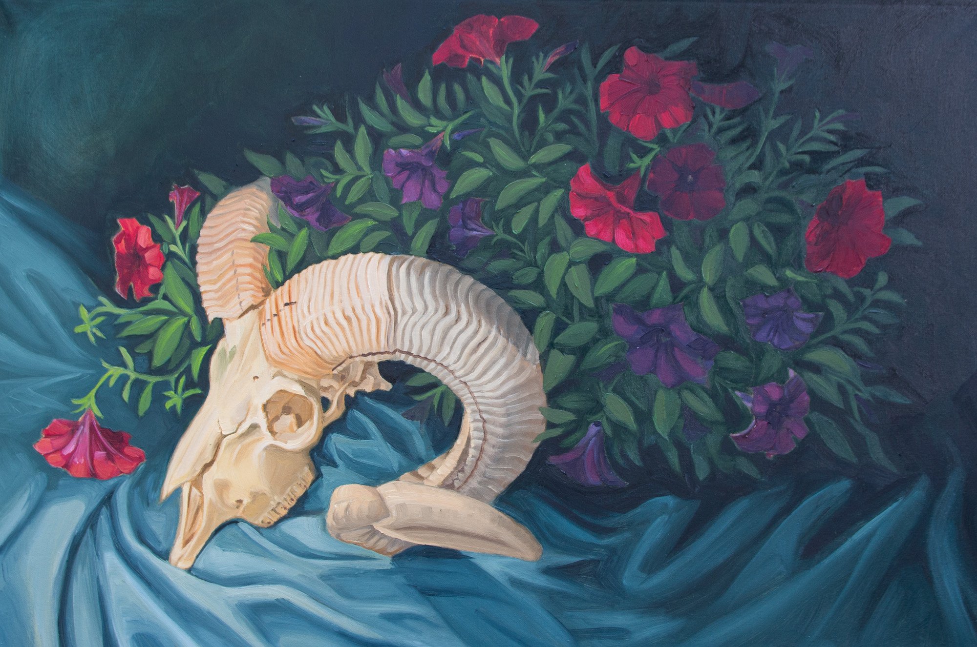 Ram & Petunias