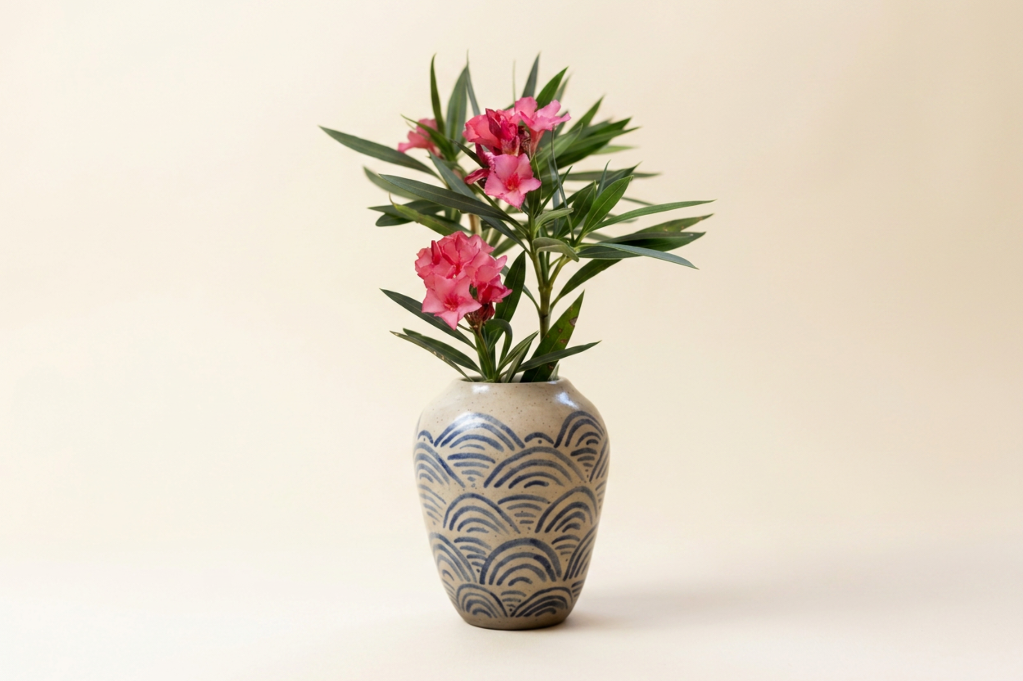 Vase - Arcoiris