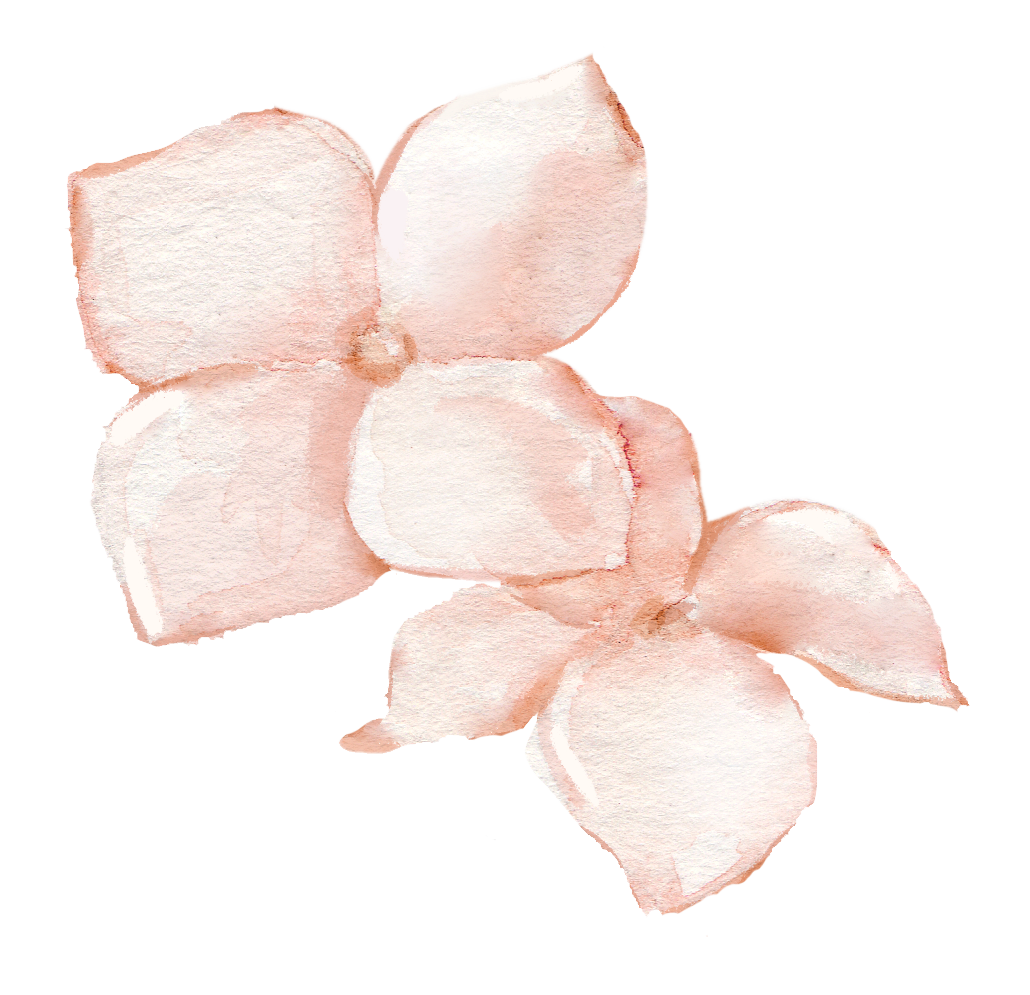 Watercolor painting of pink and white flowers, possibly petals or blossoms, with soft edges and light shading.