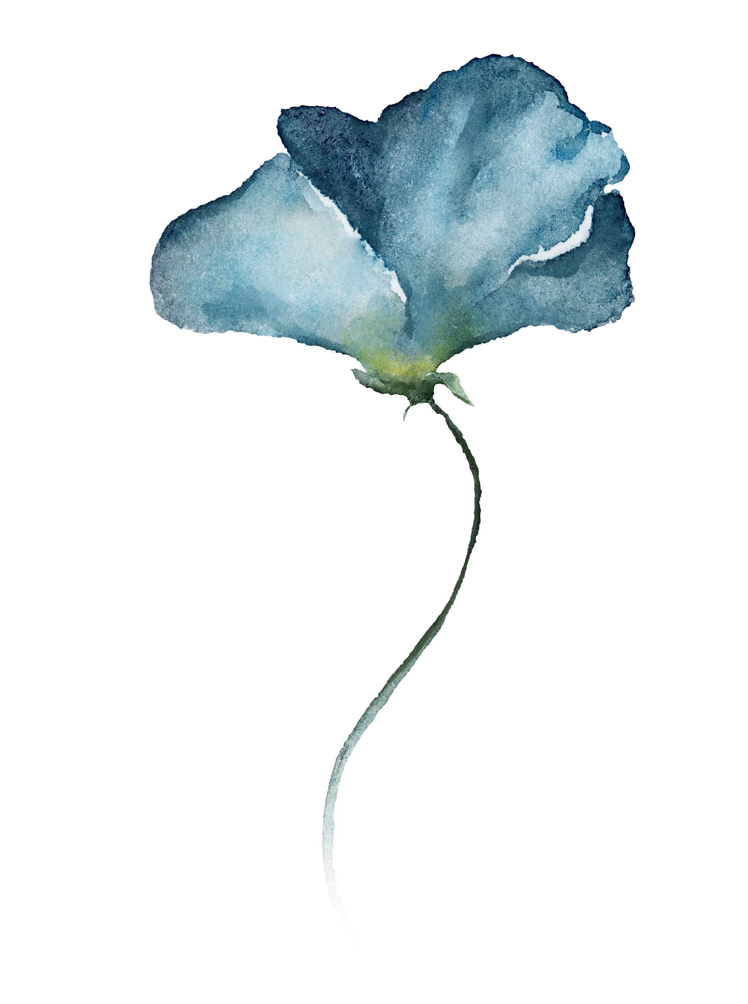 A watercolor painting of a light blue flower with a green stem, set against a black background.