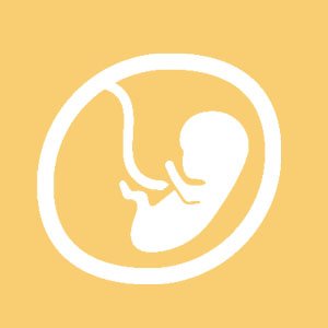 Illustration of a fetus inside a uterus on a yellow background.