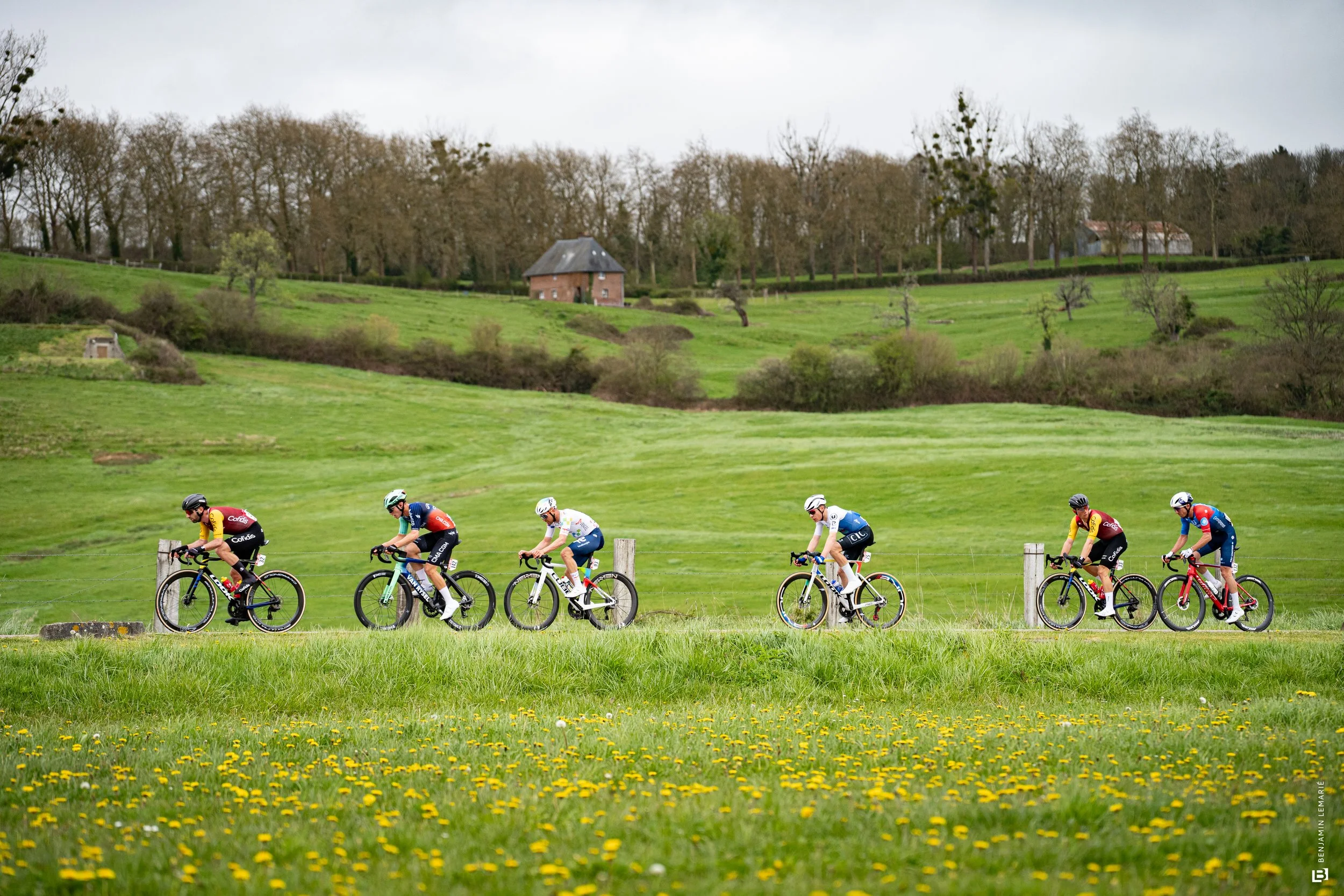 Groupe de cyclistes en course sur un terrain vert avec des collines, des arbres et des maisons en arrière-plan, sous un ciel nuageux.
