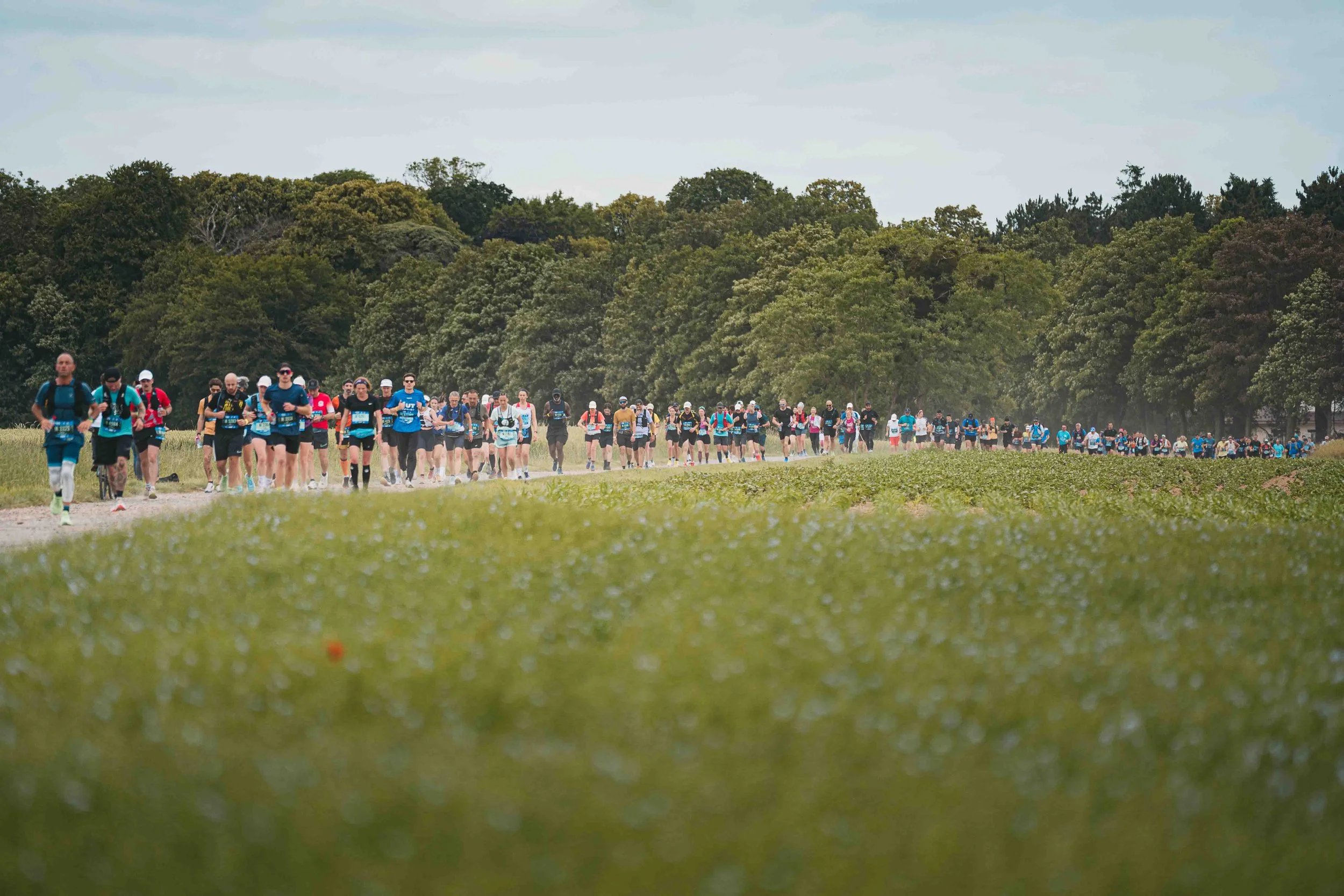 Groupe de coureurs participant à une course en plein air, avec un fond de forêt dense.
