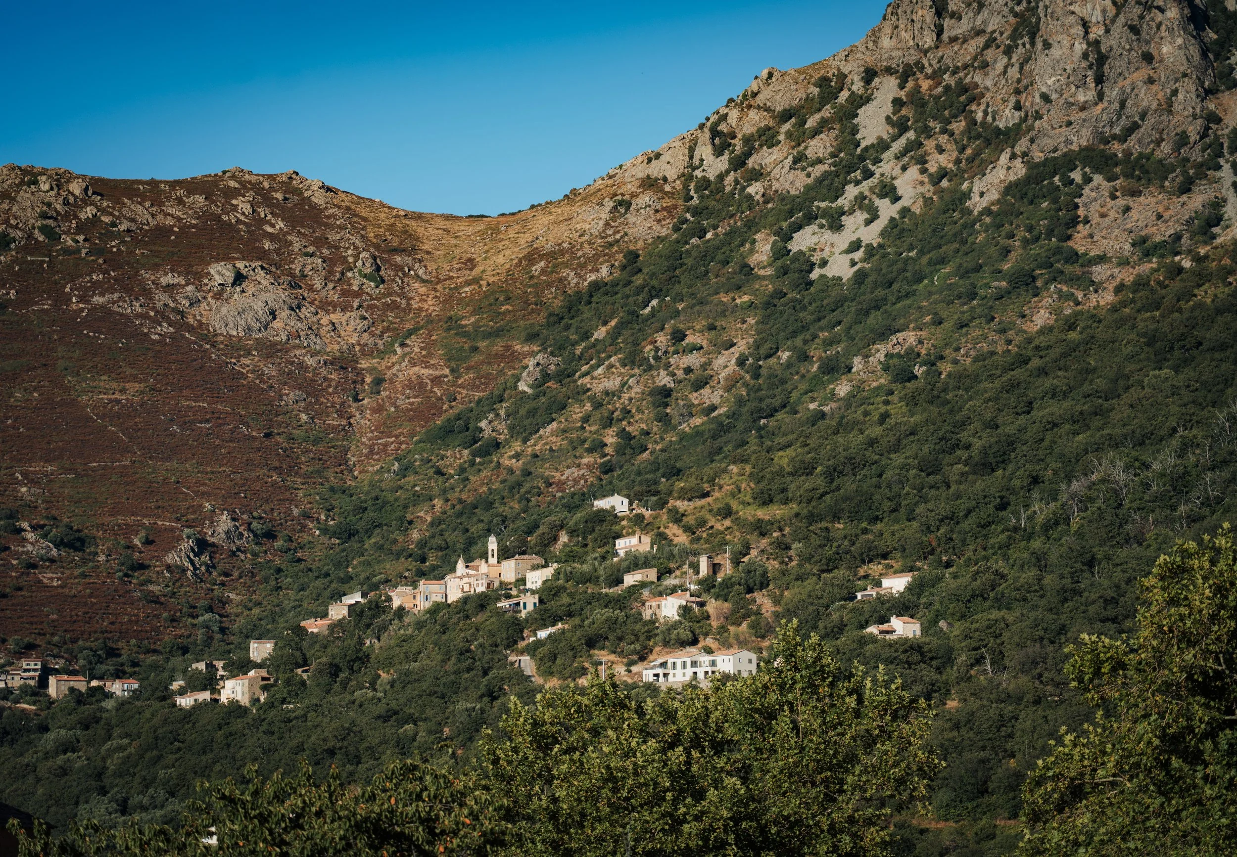 CORSE