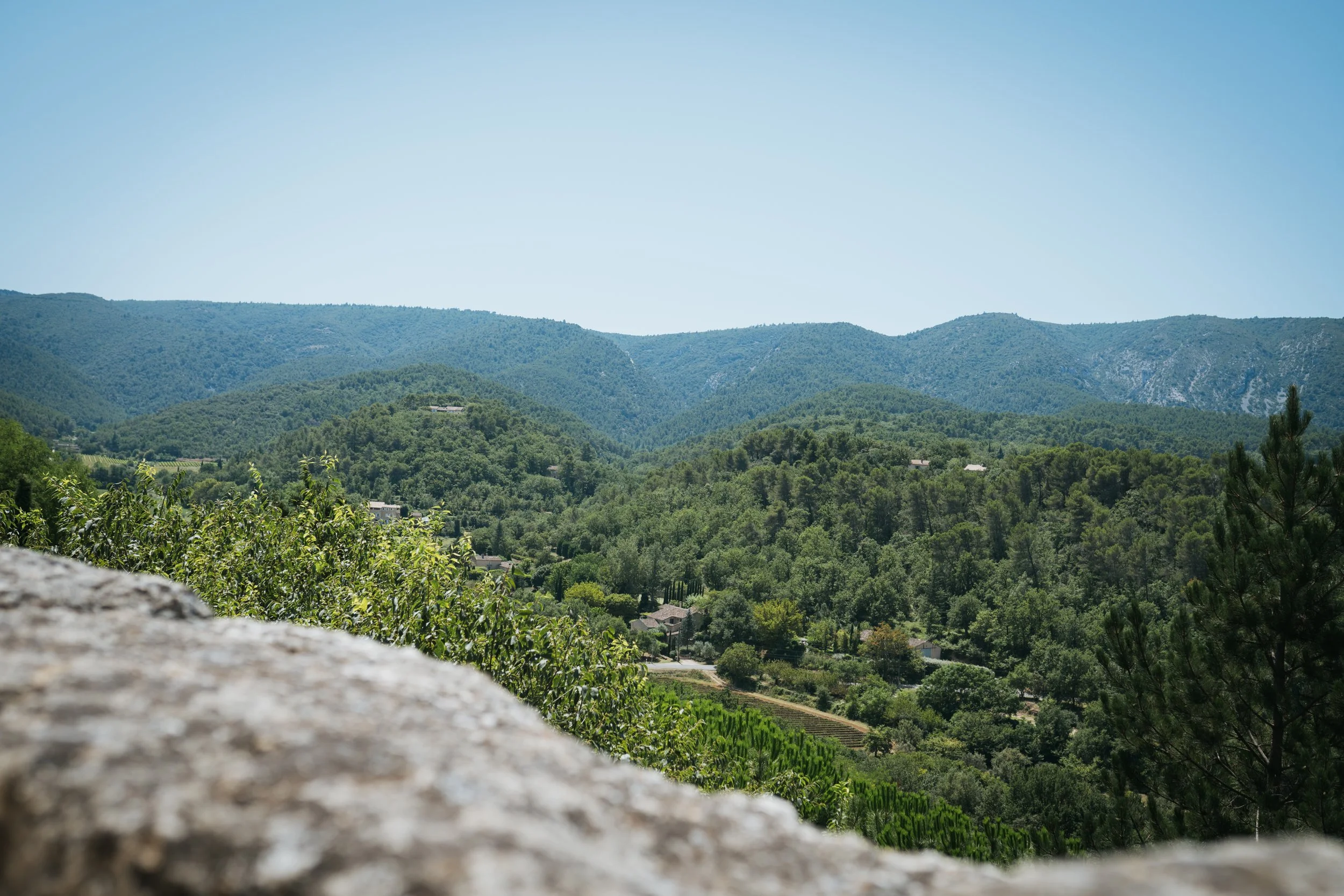 Paysage de montagnes verdoyantes sous un ciel bleu clair, avec quelques bâtiments visibles au loin, en arrière-plan une forêt dense et des arbres en premier plan.