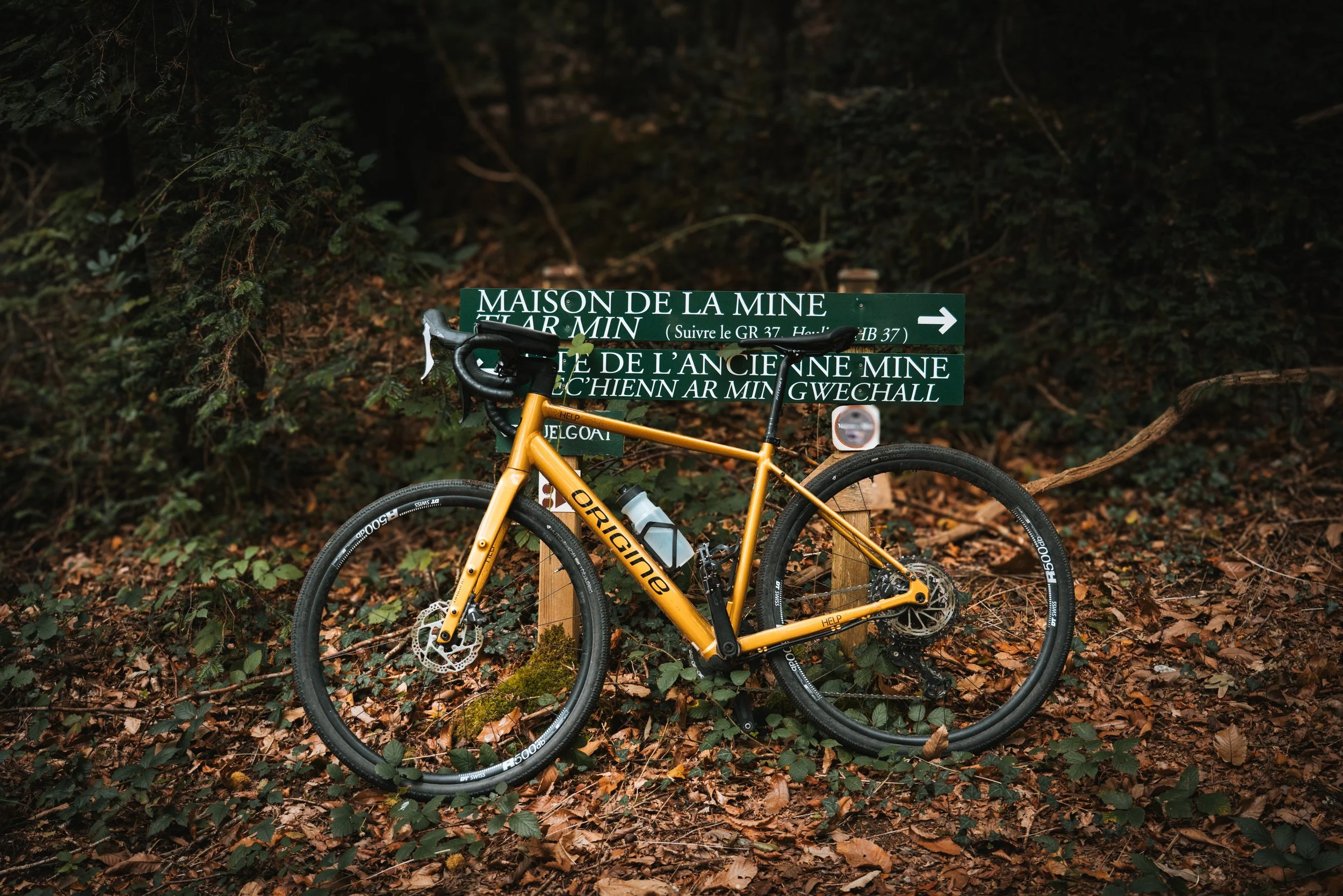 Vélo jaune appuyé contre un panneau indicateur en forêt, avec des feuilles mortes au sol.