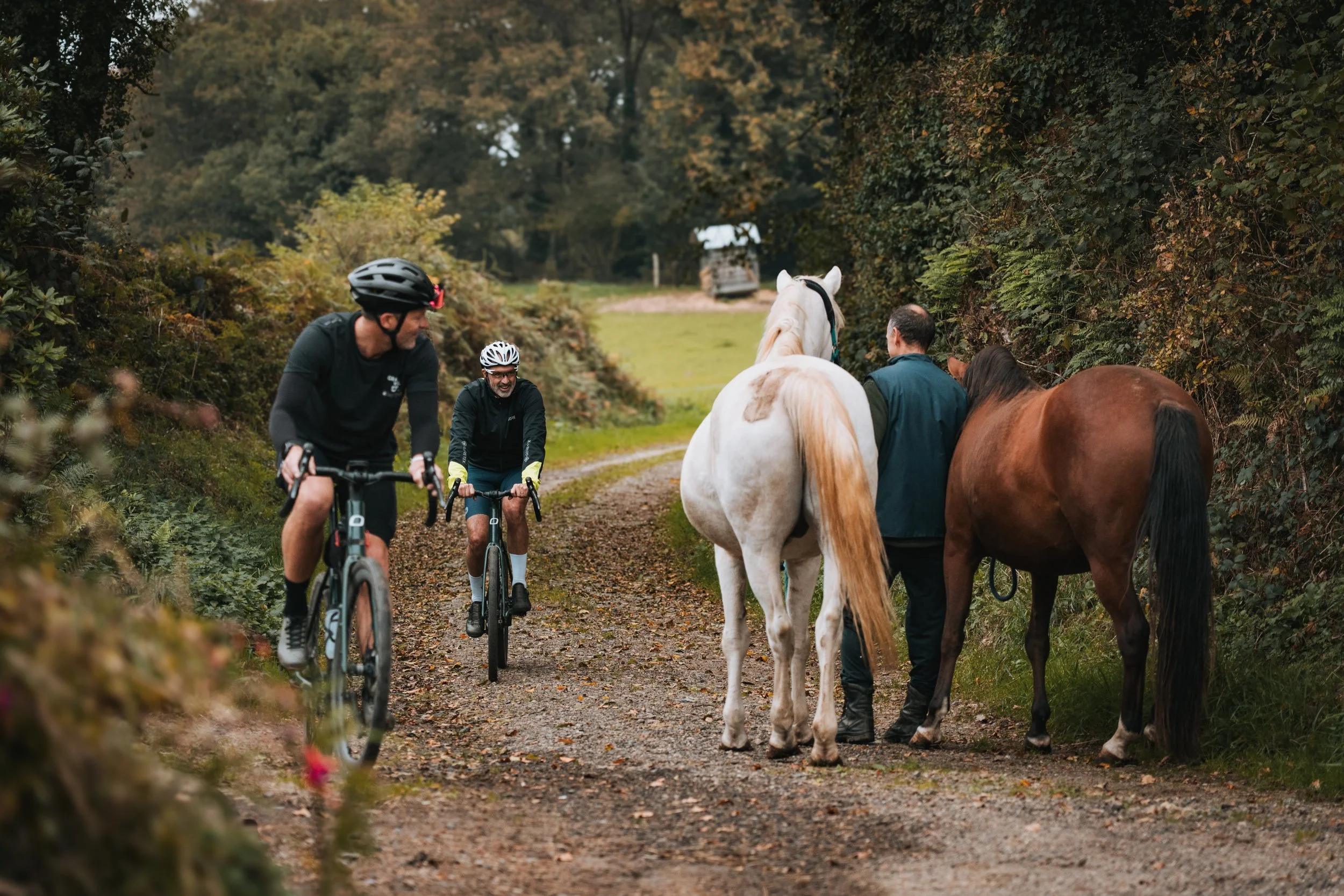 Deux hommes à vélo et deux personnes avec des chevaux sur un sentier forestier en automne.