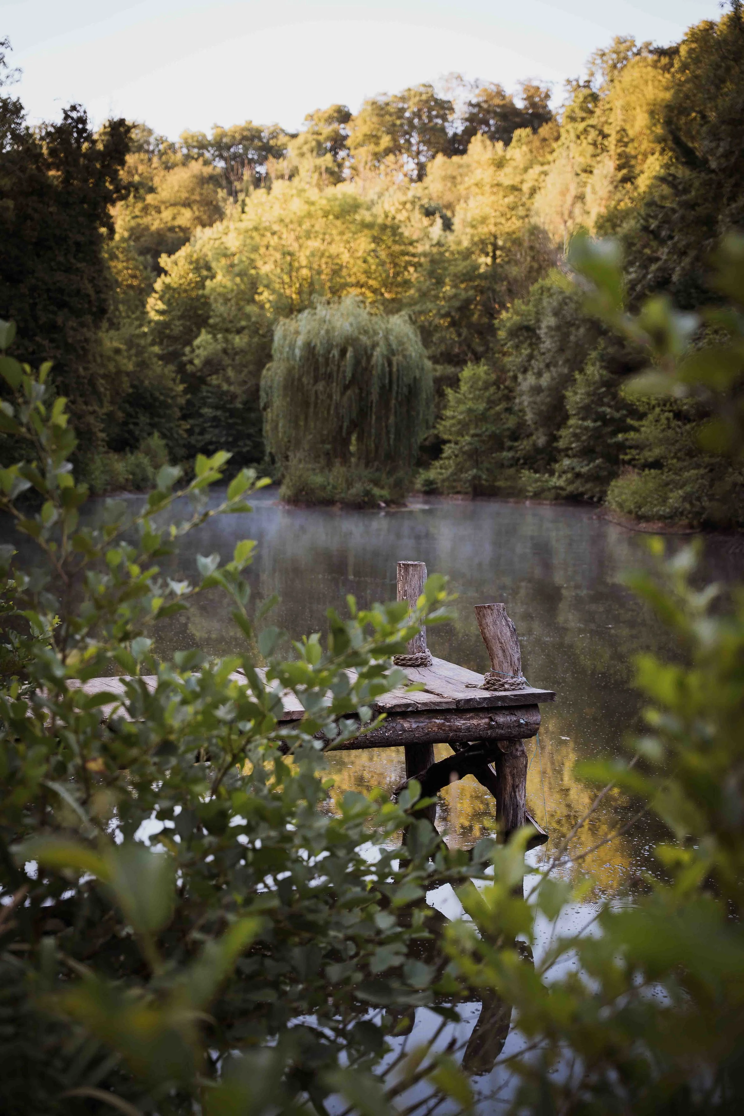 Un pont en bois en bord de rivière, entouré d'arbres feuillus, avec un arbre suspendu au centre, vue partielle à travers des feuillages verts.