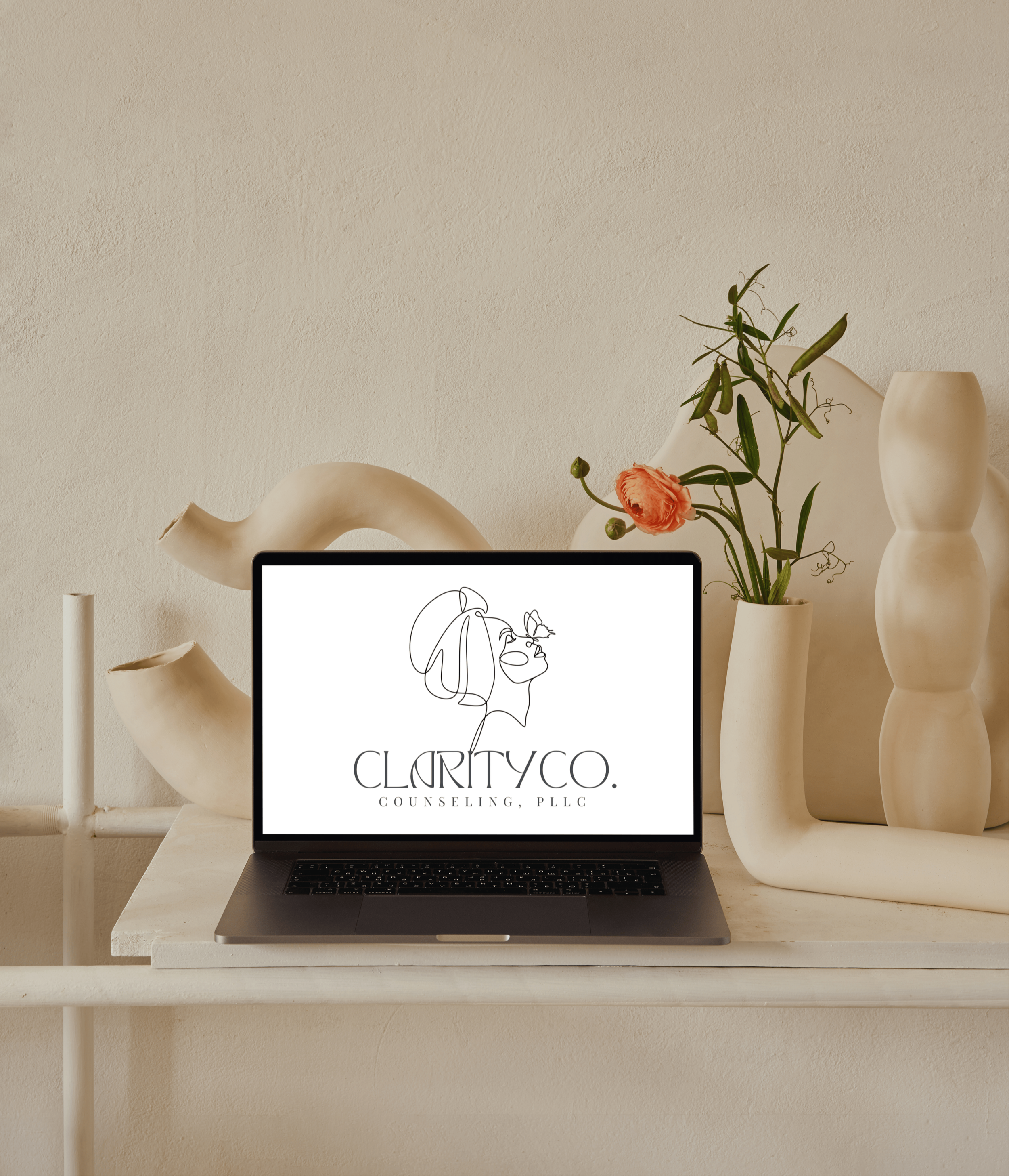 Clarity co. website launch