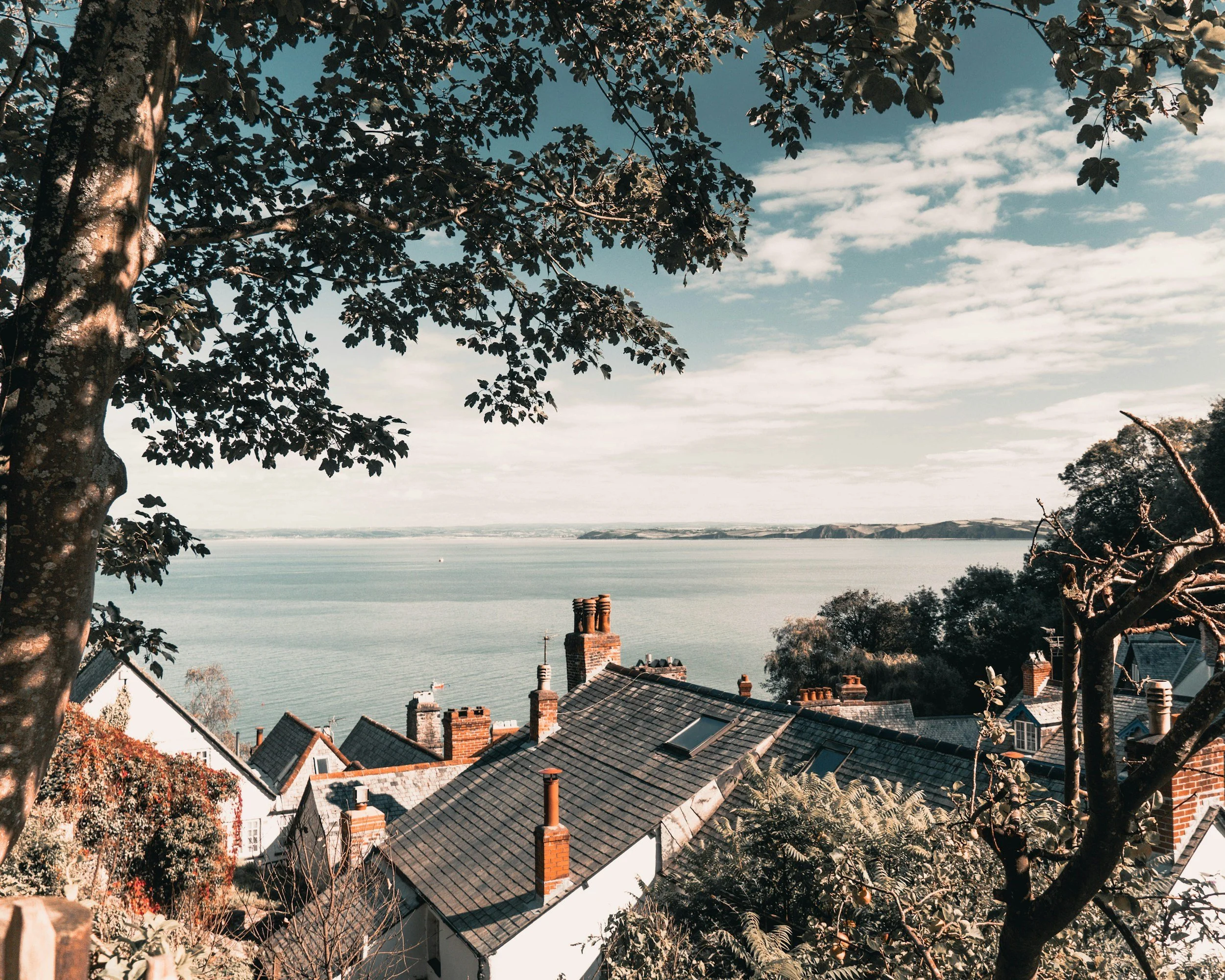Devon roof tops
