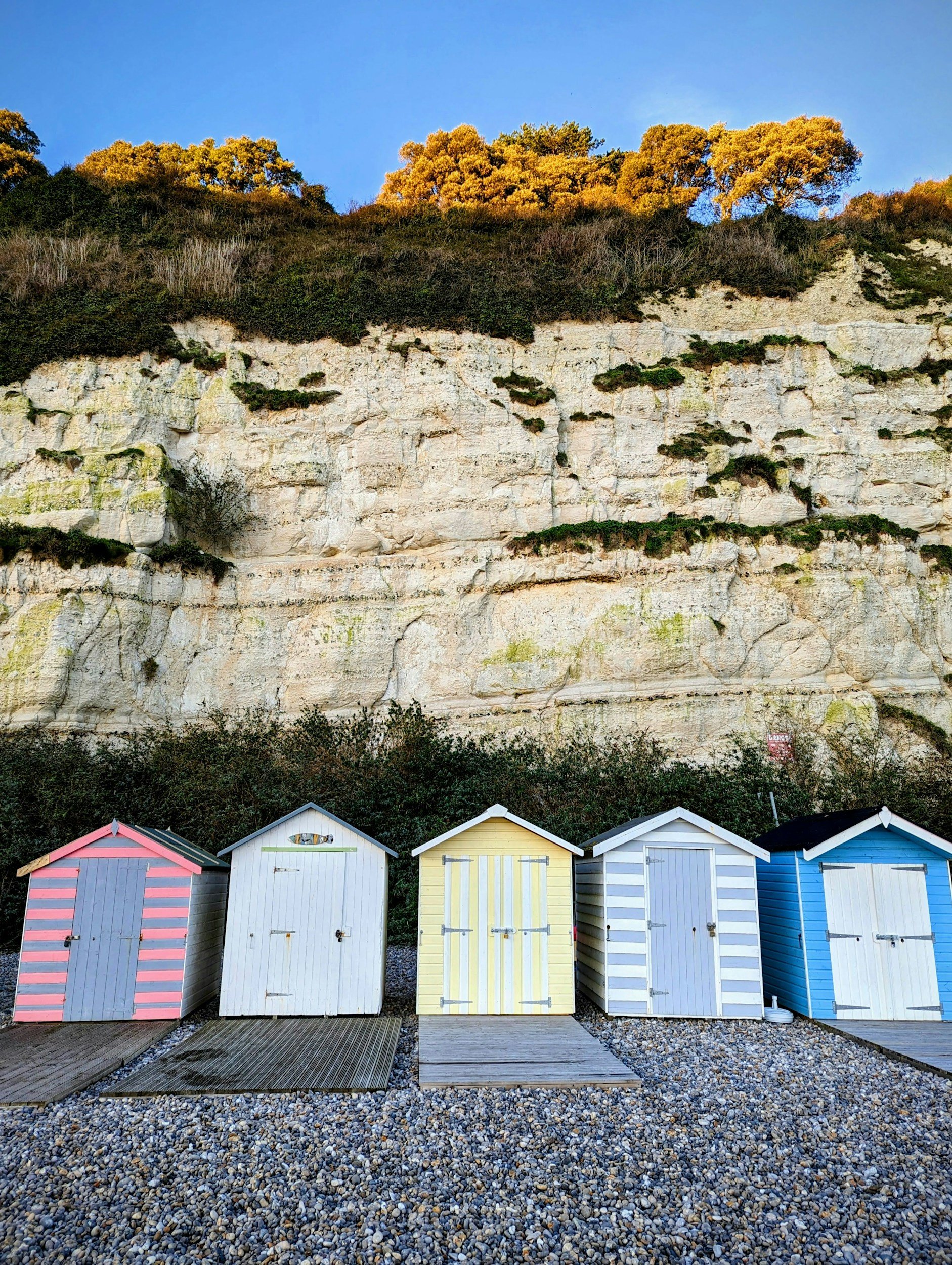 Devon Homes
