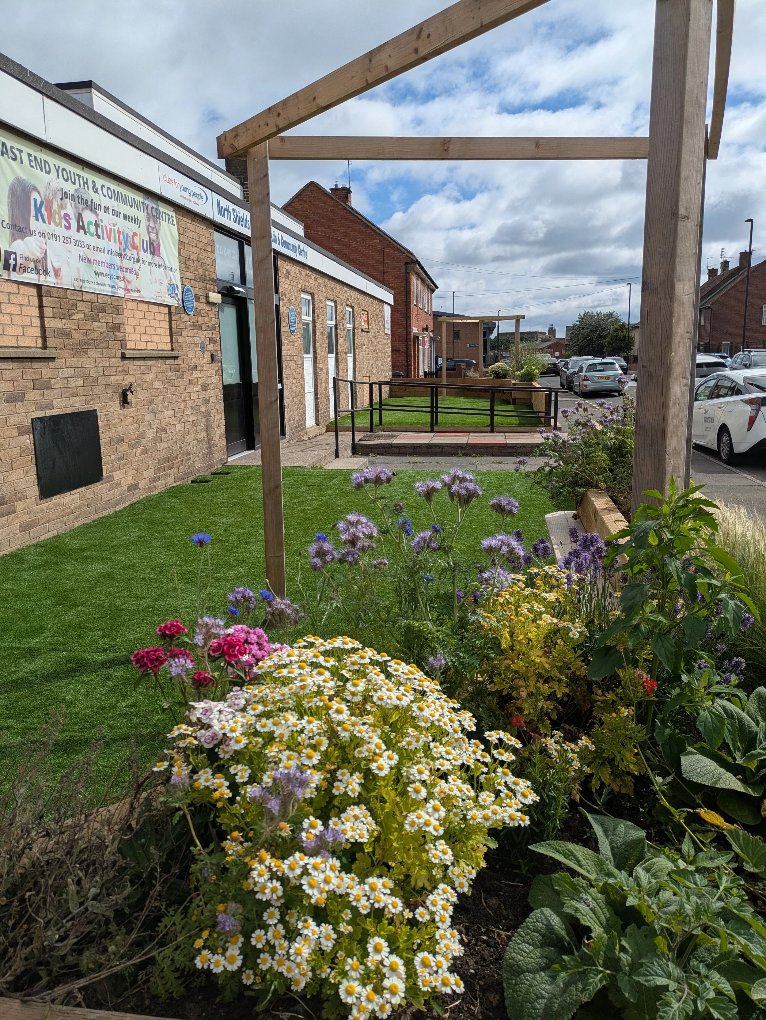 A garden with colorful flowers including daisies and purple blooms, surrounded by green foliage, with a background of buildings, parked cars, and a cloudy sky.