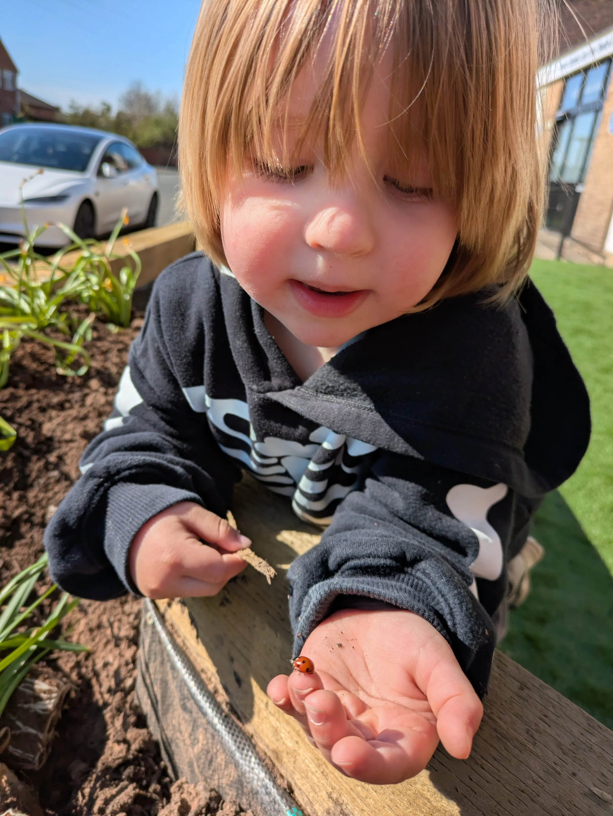 A young child with red hair and a black and white striped shirt touching a ladybug on their hand while outdoors in a garden.
