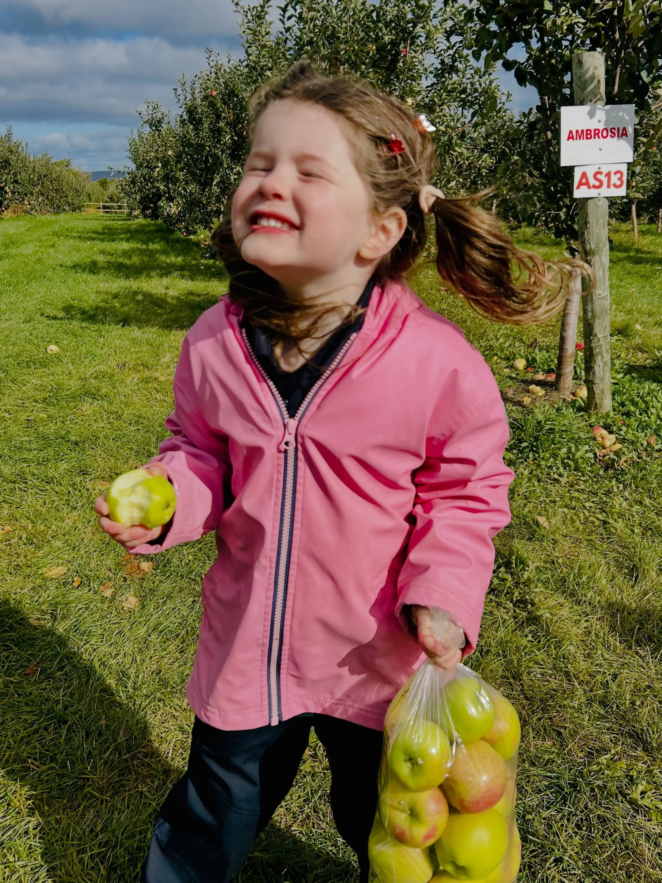 A sweet start to Thanksgiving weekend! 🍎🍂

Our Primary to Grade 2 students headed to the Valley this week for some apple picking, fresh air, and fall fun!

Wishing our Armbrae families a wonderful Thanksgiving weekend! 💙🧡

#ArmbraeAcademy #applep