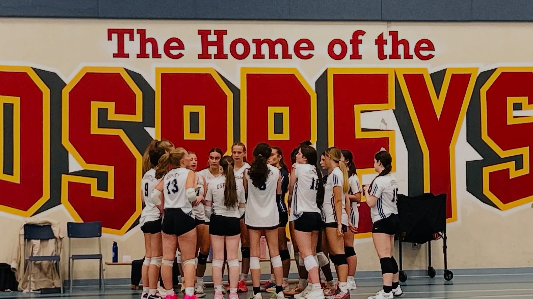 Senior Girls Volleyball Game