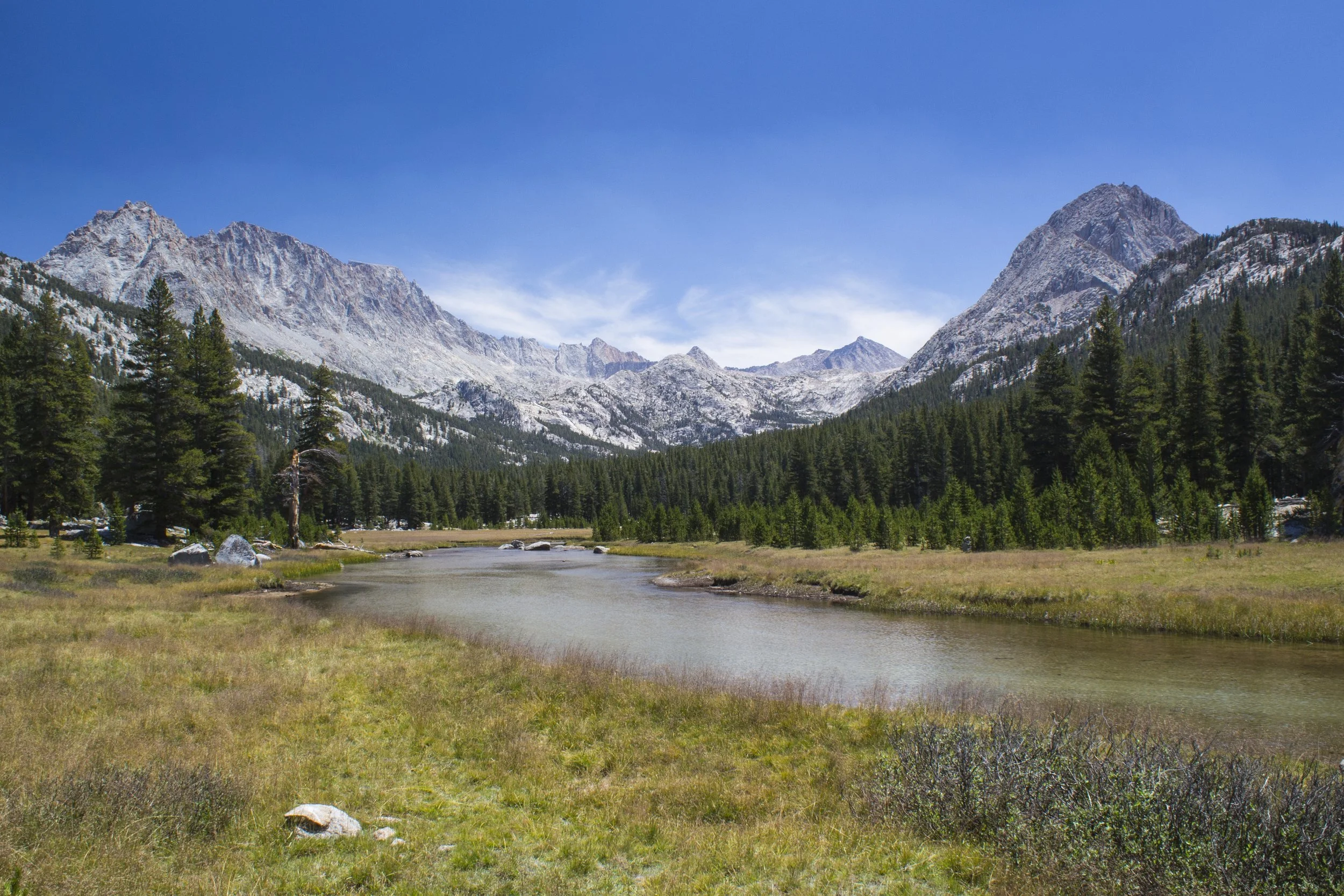 Mountain landscape with rocky peaks, evergreen trees, and a river flowing through a grassy meadow under a clear blue sky.