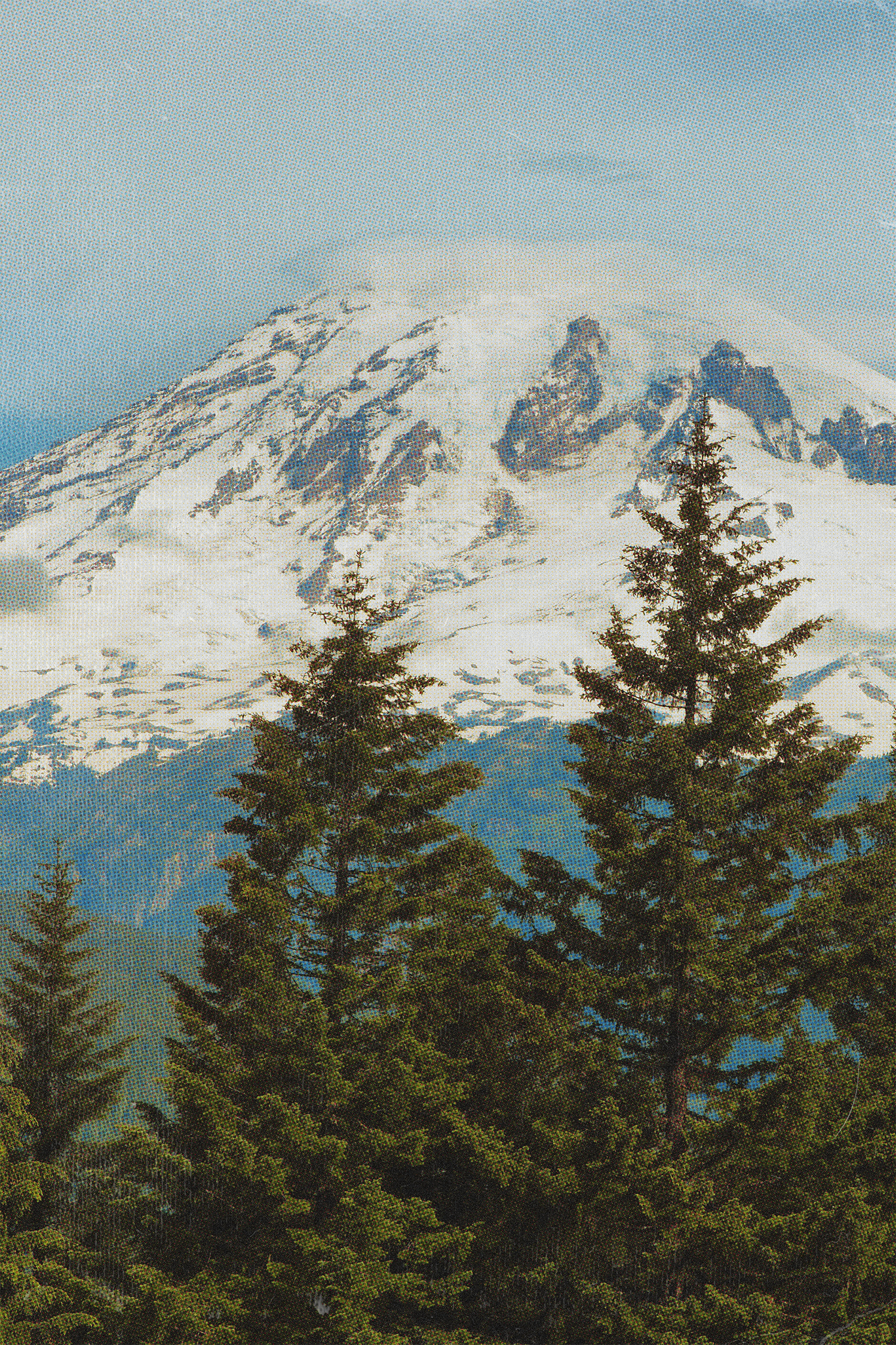 A snow-covered mountain with rugged rocky features, surrounded by pine trees in the foreground.