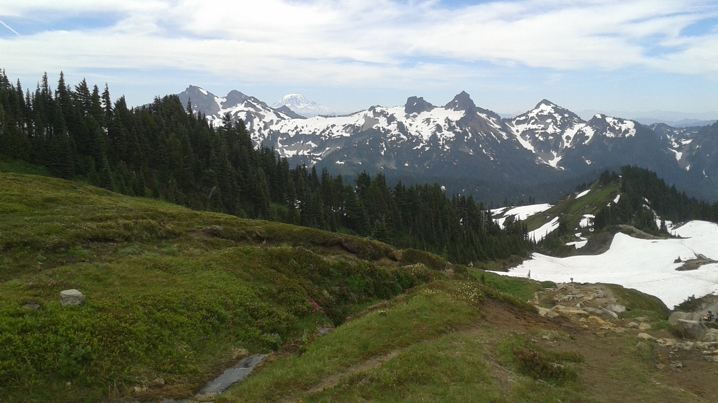 Mountain landscape with snow-capped peaks, green pine trees, and a grassy foreground with small streams and rocks.