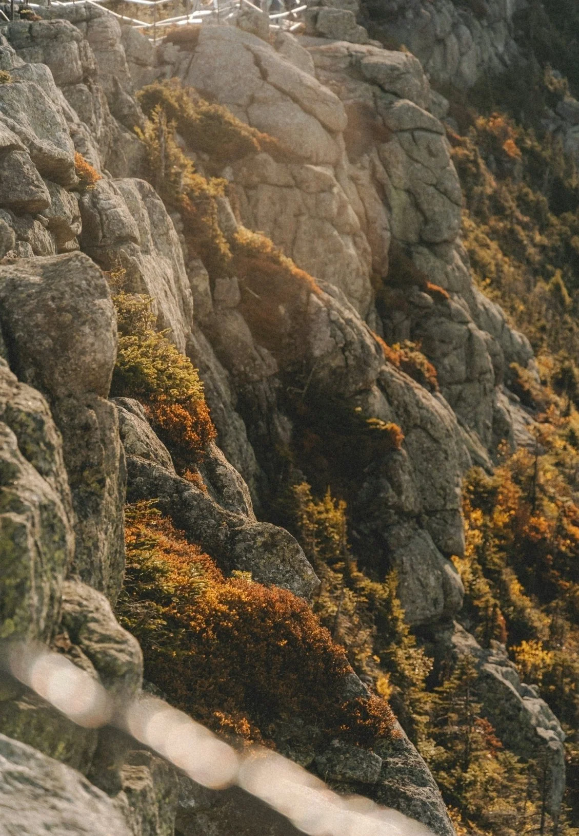 Cliffside with large stone rocks and sparse vegetation, some trees with autumn-colored leaves, sunlight illuminating part of the rocky landscape.