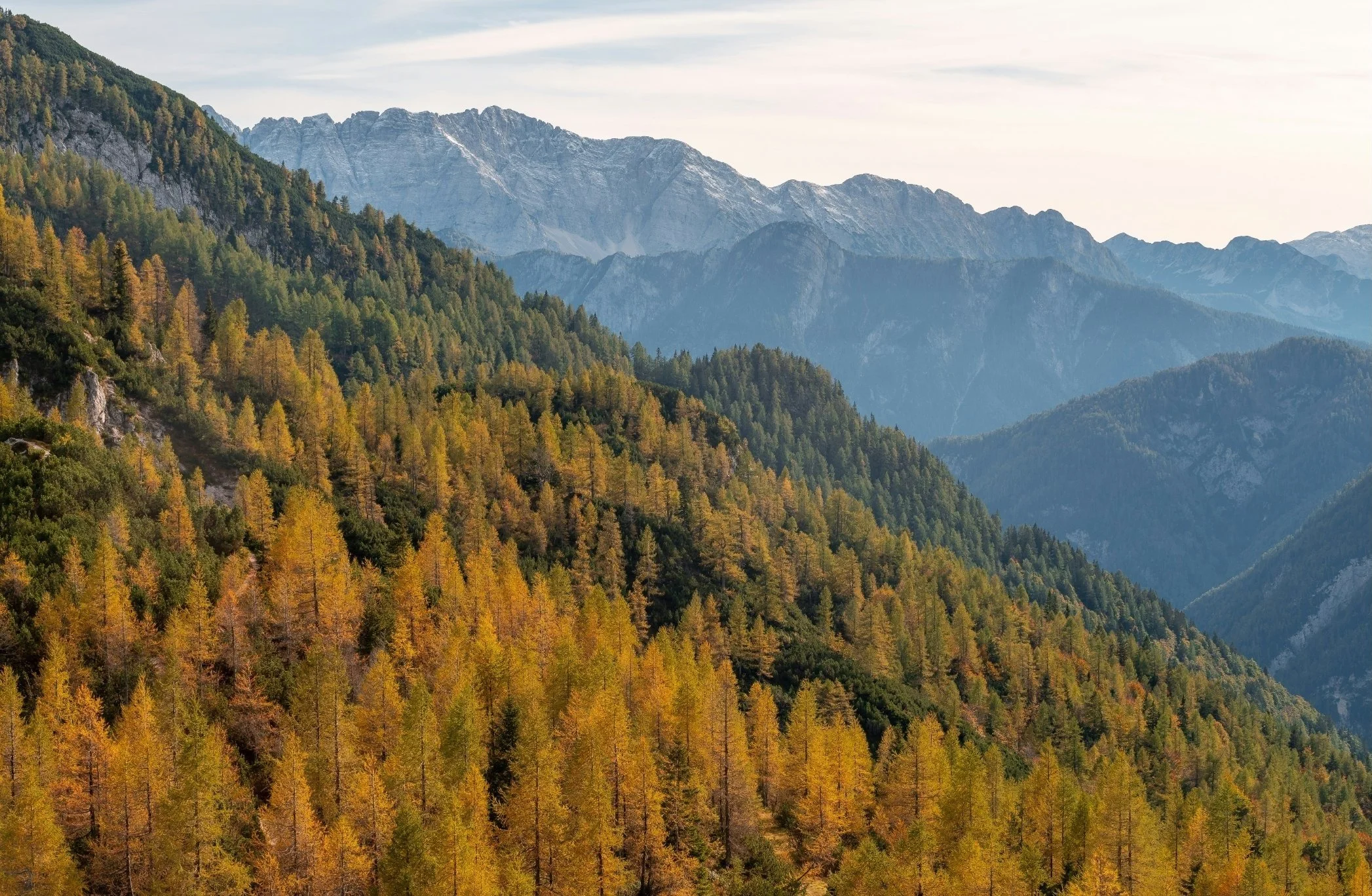 Scenic view of a forested mountain landscape with green and yellow trees, distant mountain peaks, and a cloudy sky.