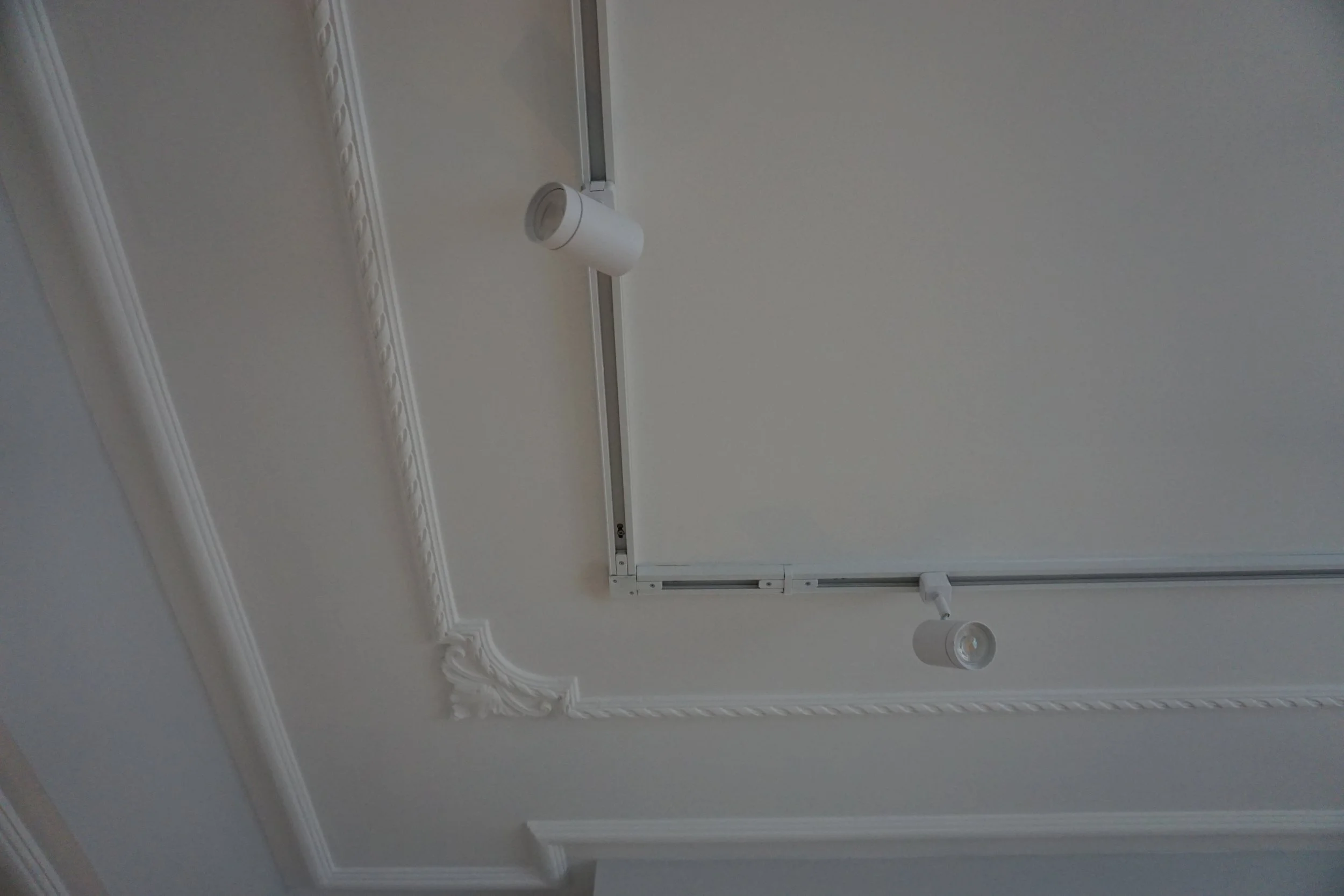Ceiling with white molding and a white track lighting fixture.