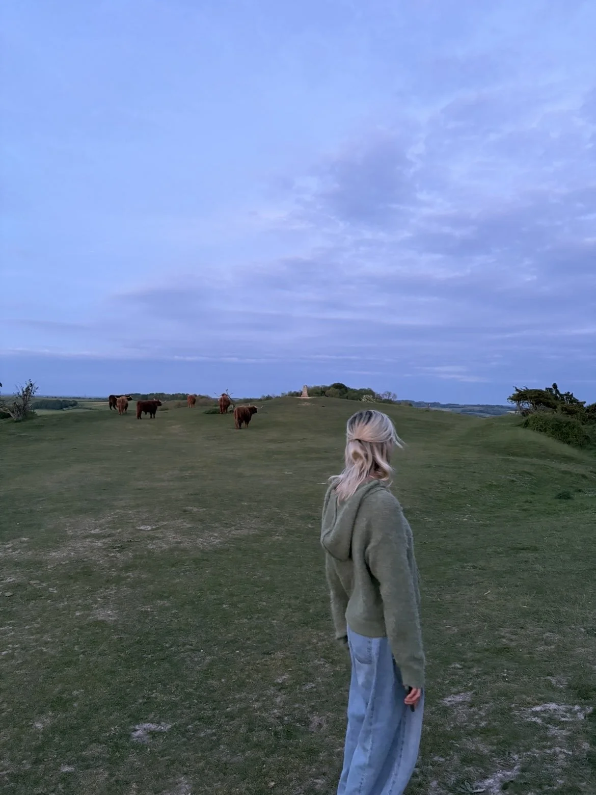 A woman with blonde hair, wearing a green hoodie and jeans, stands on a grassy hill looking toward a herd of cows grazing in the distance under a cloudy evening sky.